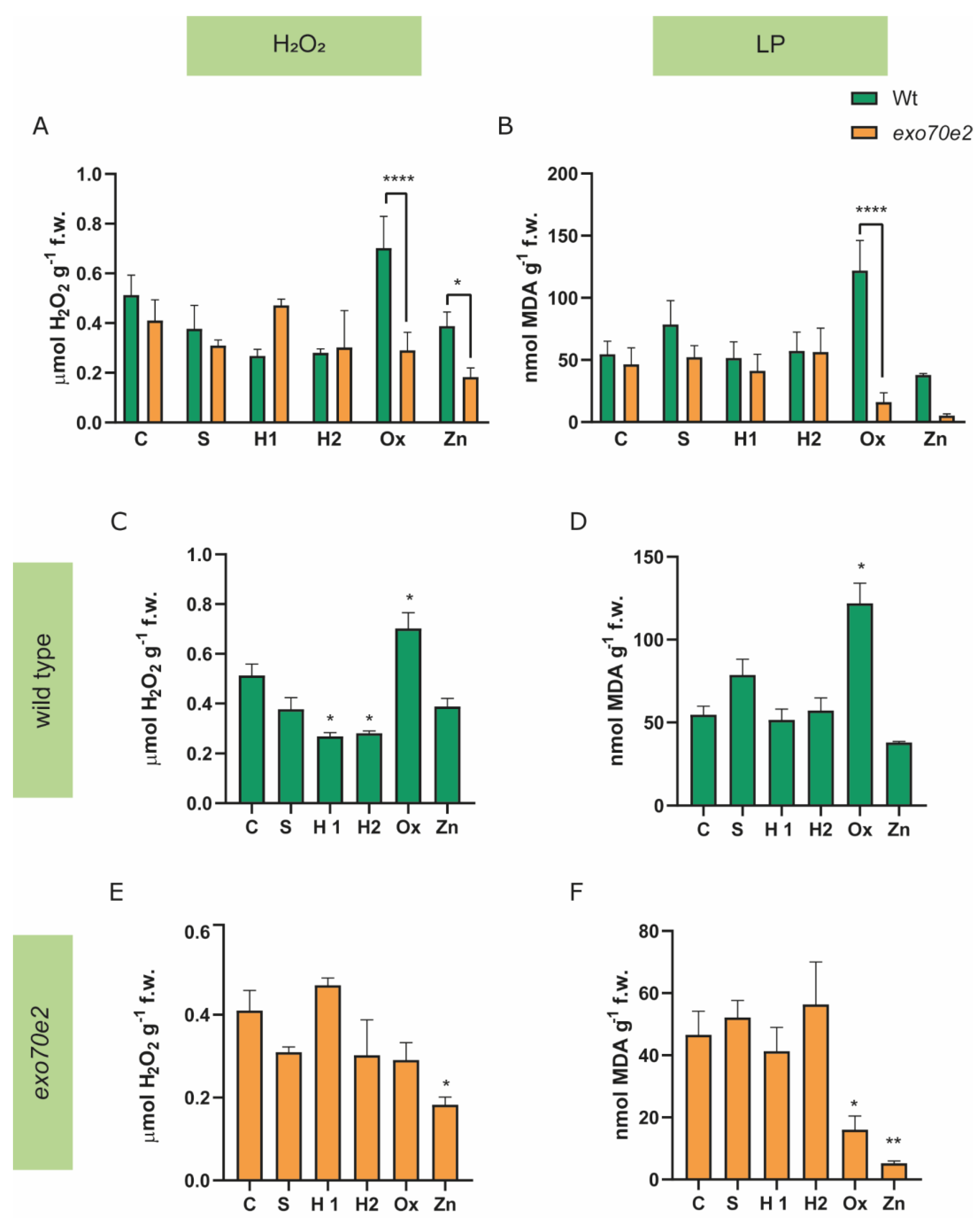 Ijms 24 00424 g004 Ijms 24 00424 g004
