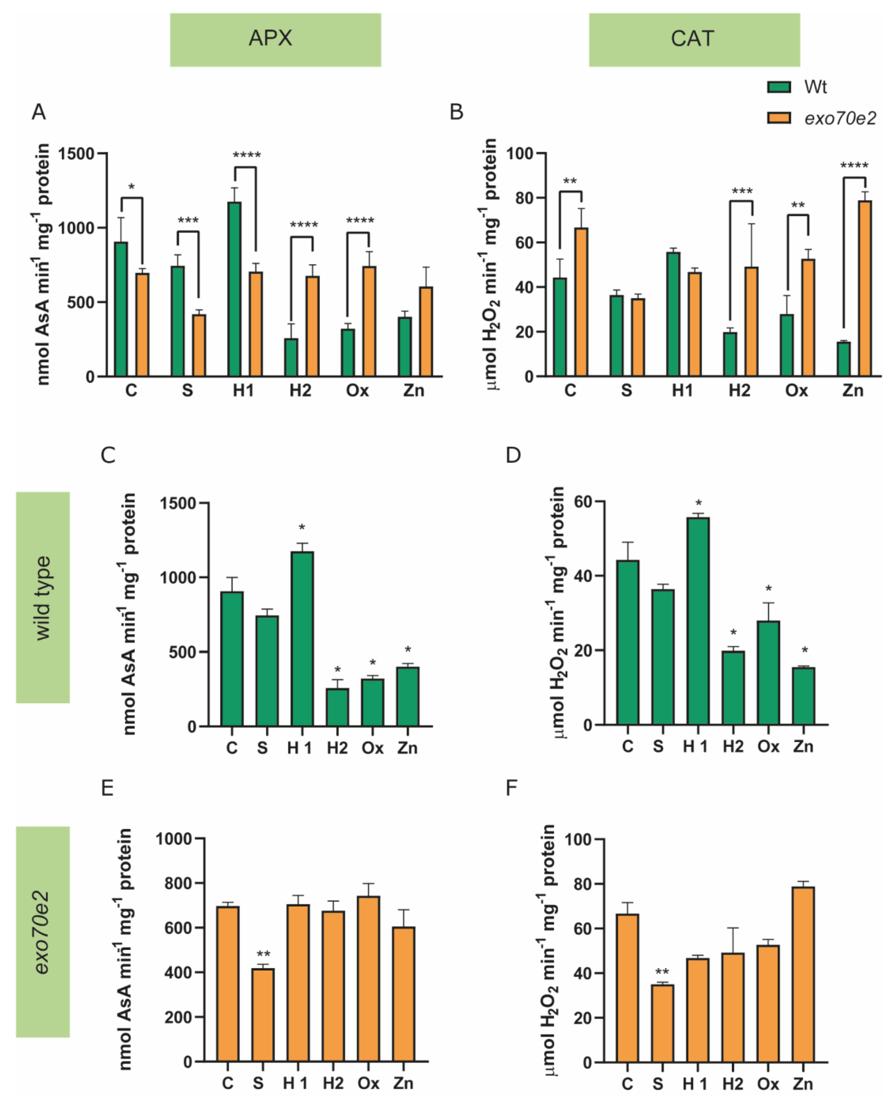 Ijms 24 00424 g006 Ijms 24 00424 g006
