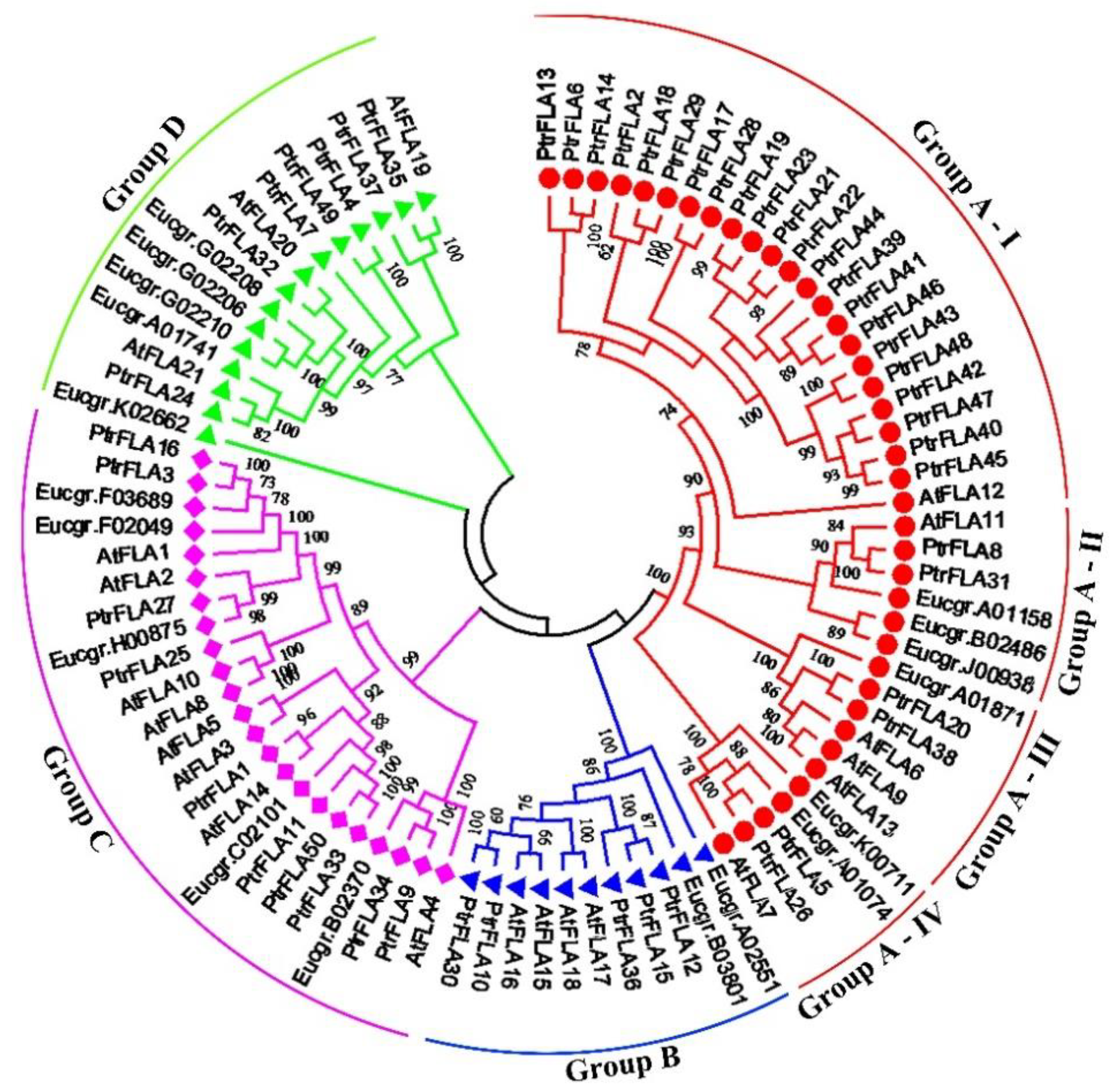 Ijms 24 00427 g001 Ijms 24 00427 g001