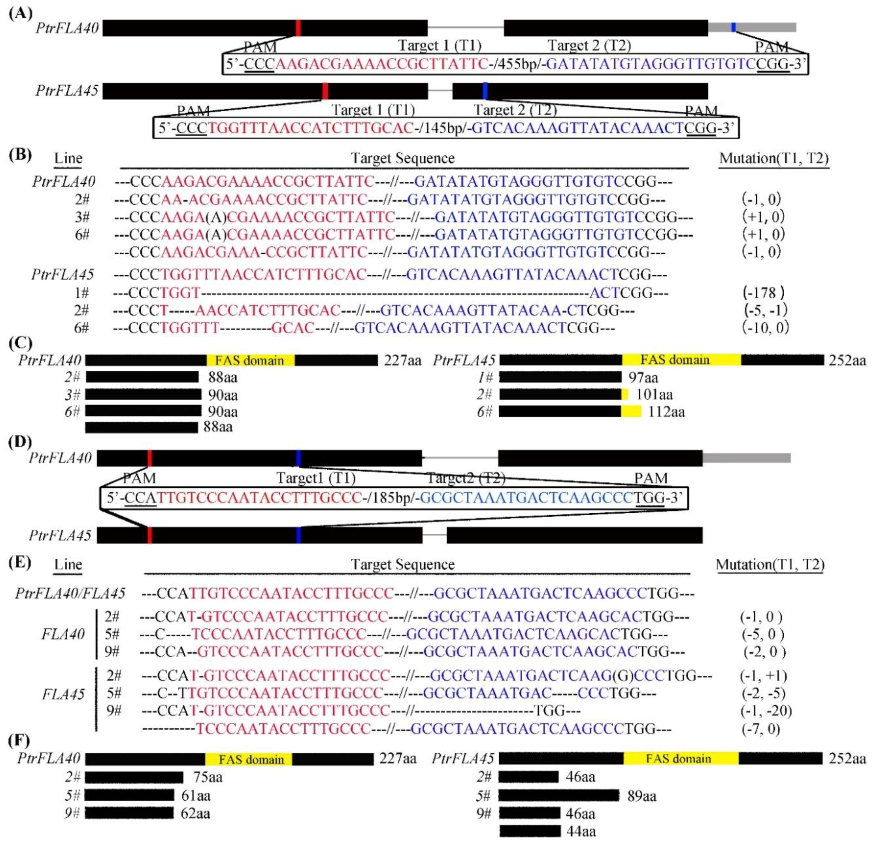 Ijms 24 00427 g003 Ijms 24 00427 g003