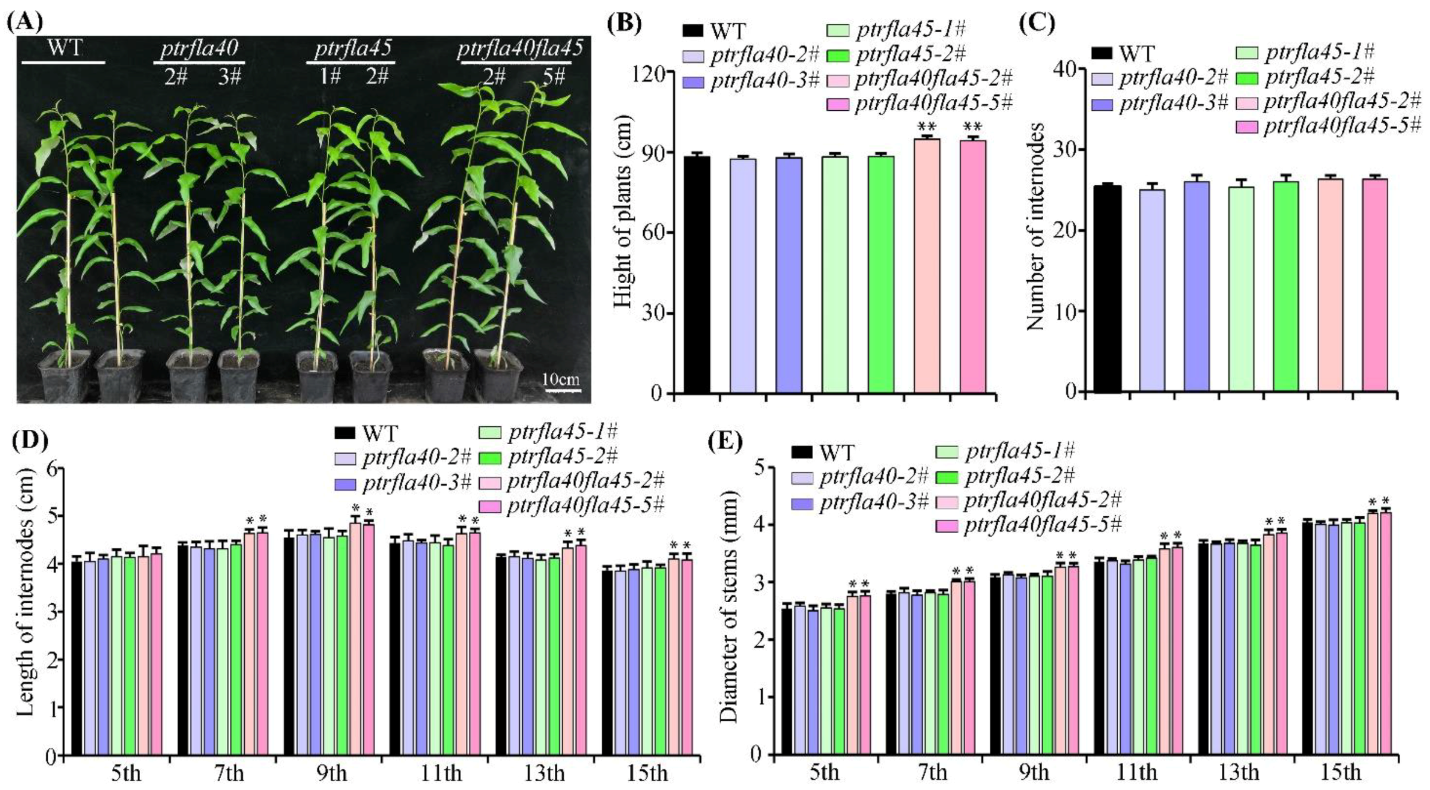 Ijms 24 00427 g004 Ijms 24 00427 g004