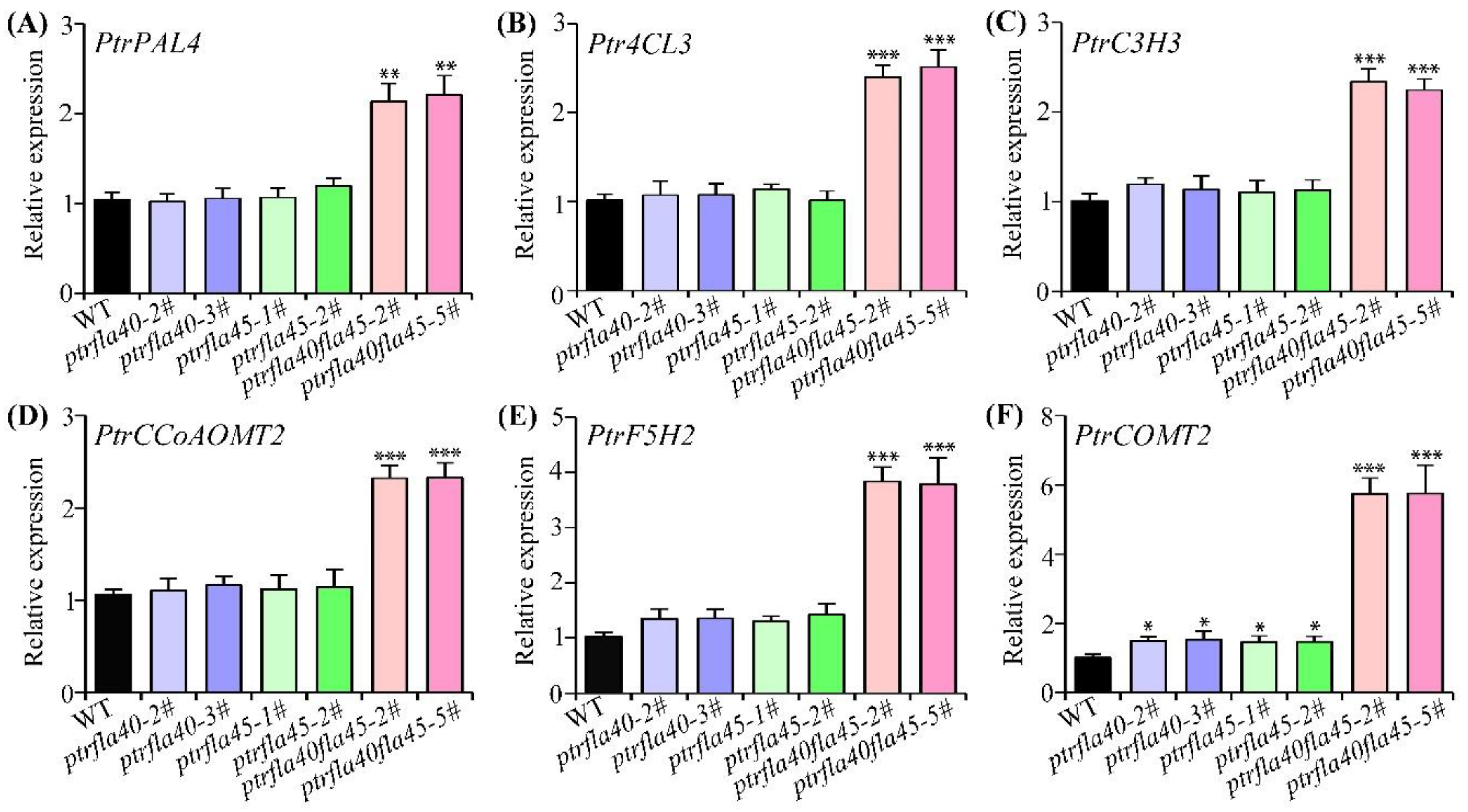 Ijms 24 00427 g007 Ijms 24 00427 g007