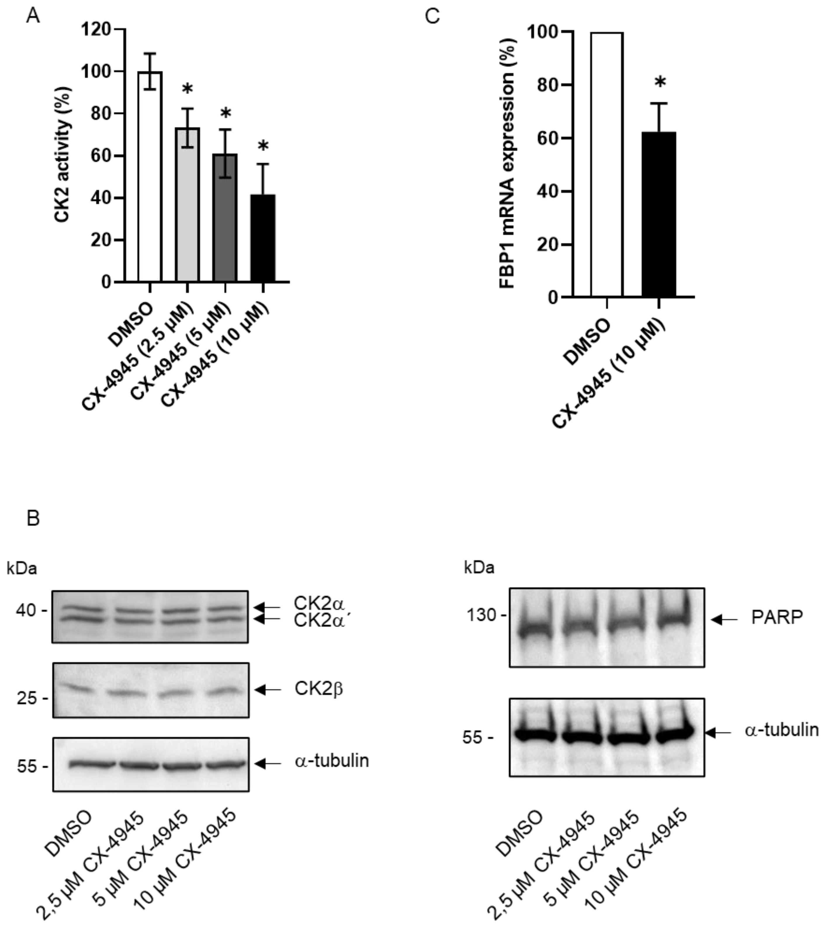 Ijms 24 00428 g001 Ijms 24 00428 g001