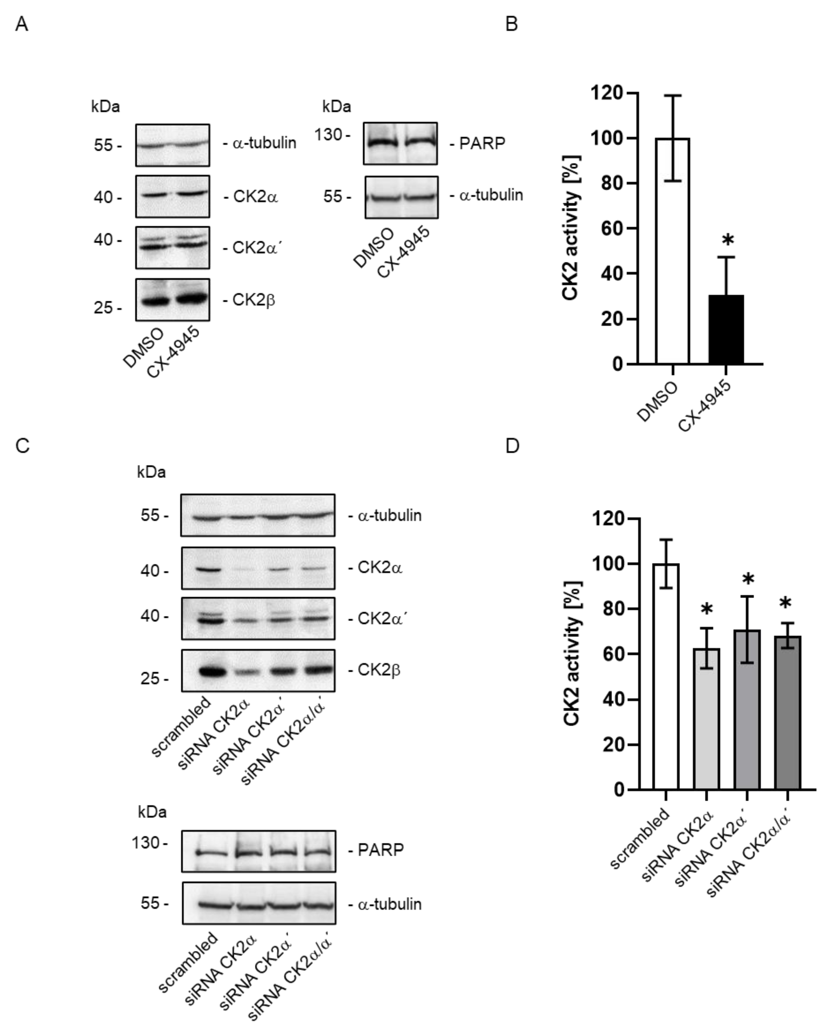 Ijms 24 00428 g002 Ijms 24 00428 g002