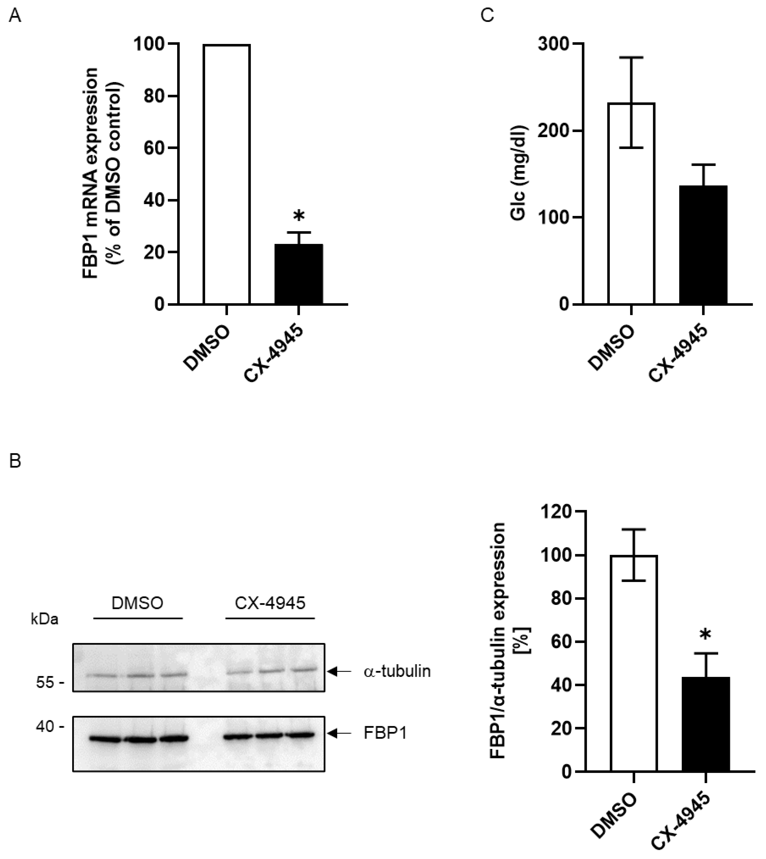 Ijms 24 00428 g005 Ijms 24 00428 g005