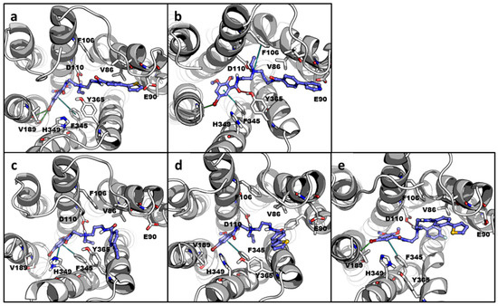 S.O様 Frontiers | Interaction of the intestinal cytokines-JAKs