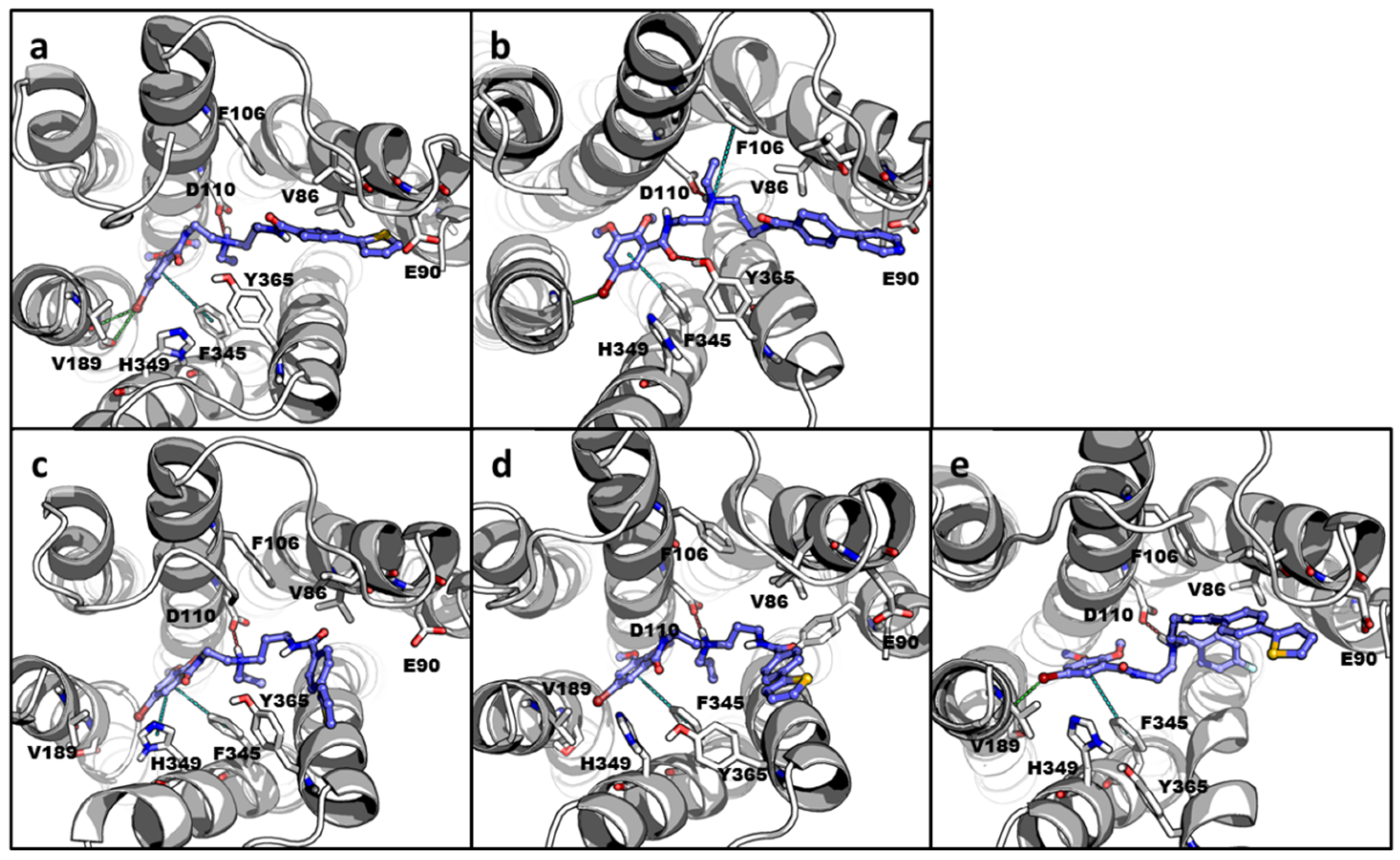 Design and Synthesis of Conformationally Flexible Scaffold