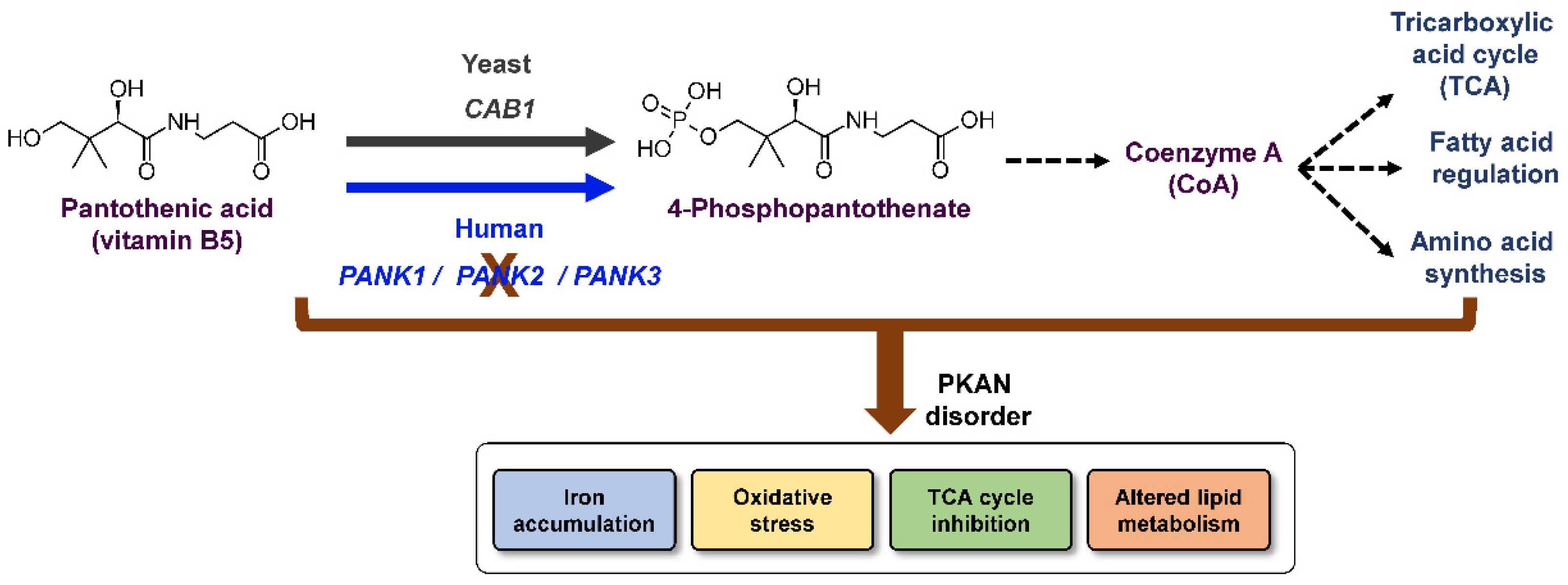 Ijms 24 00435 g001 Ijms 24 00435 g001