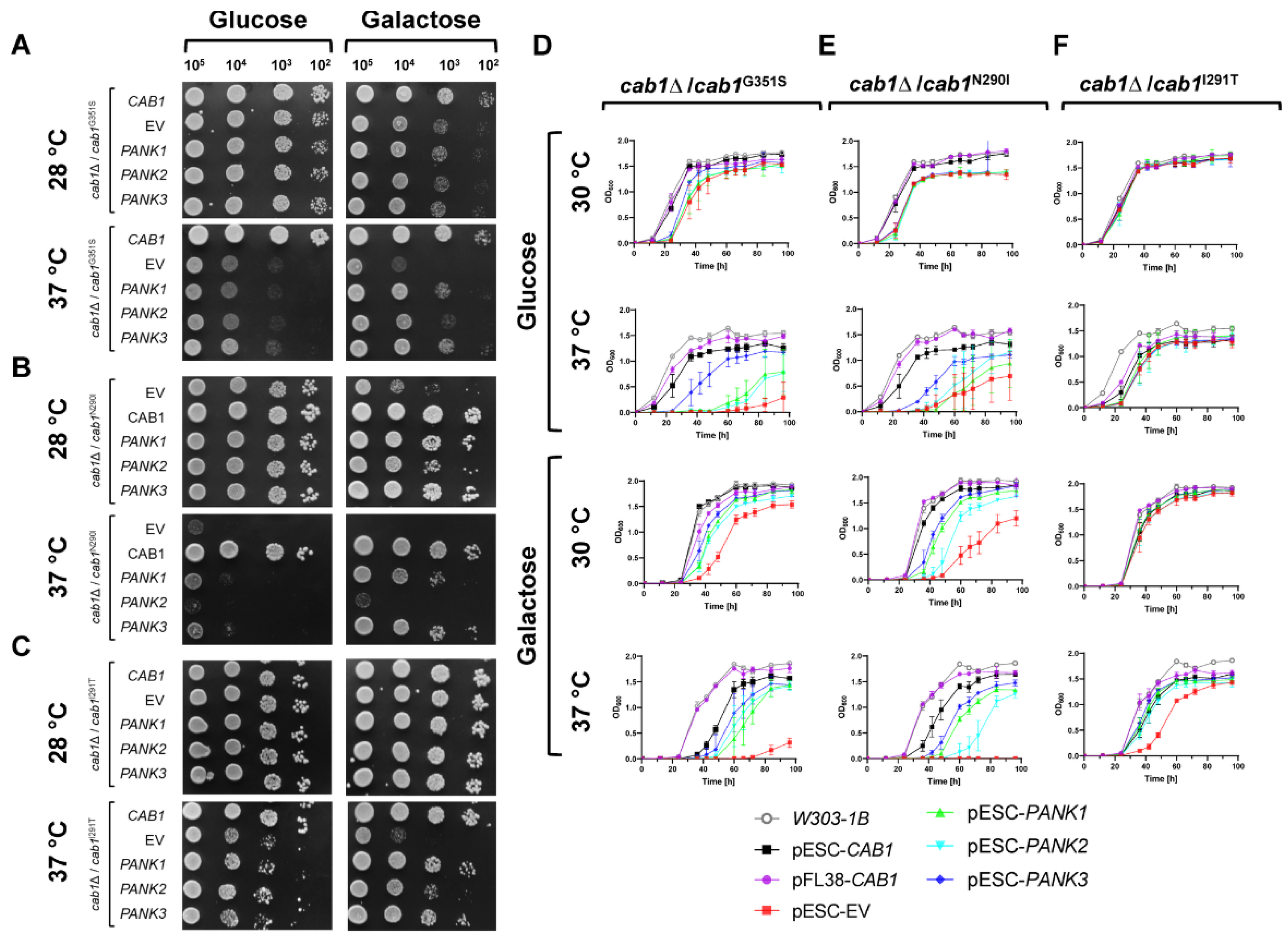 Ijms 24 00435 g002 Ijms 24 00435 g002