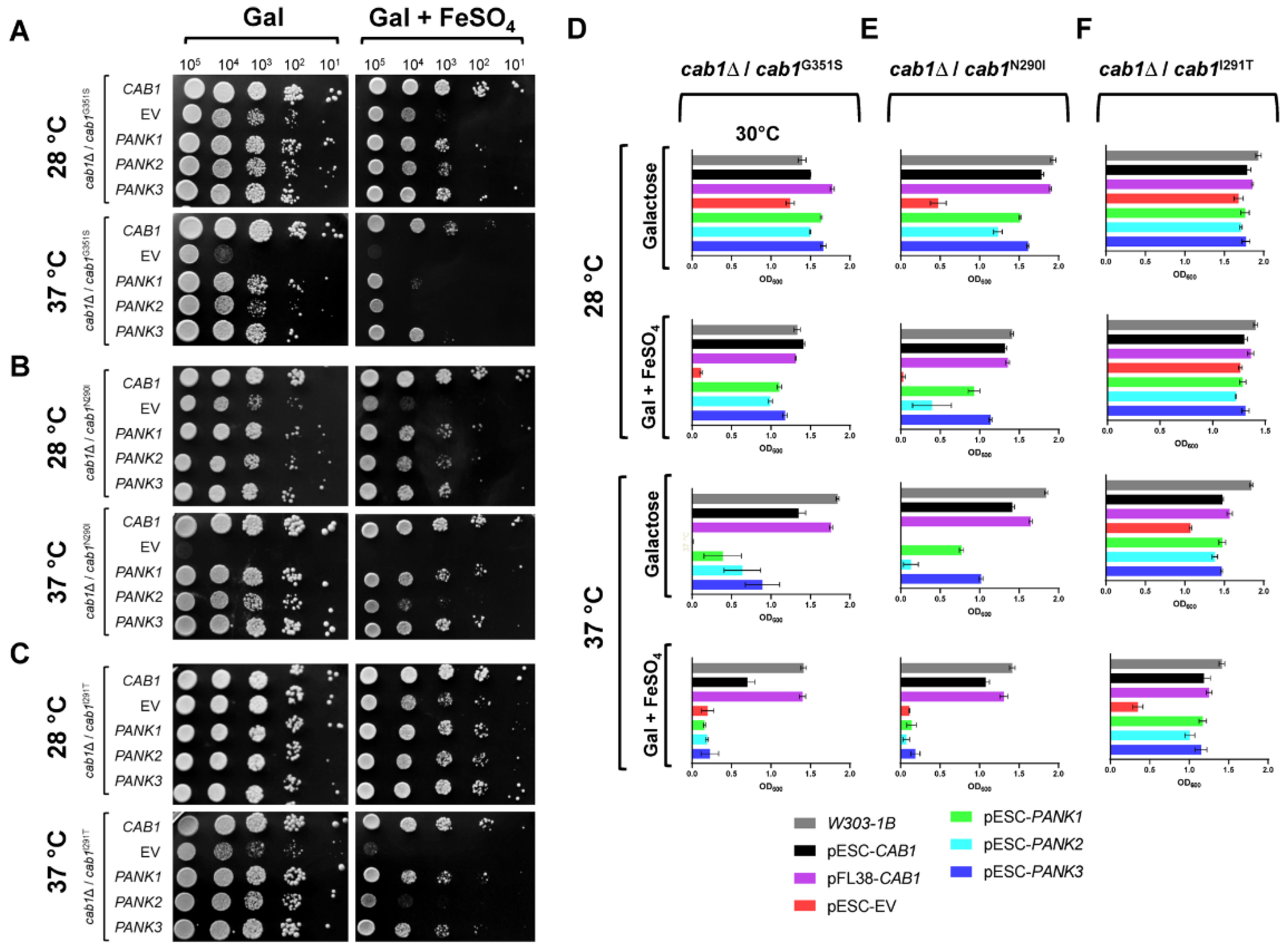 Ijms 24 00435 g004 Ijms 24 00435 g004