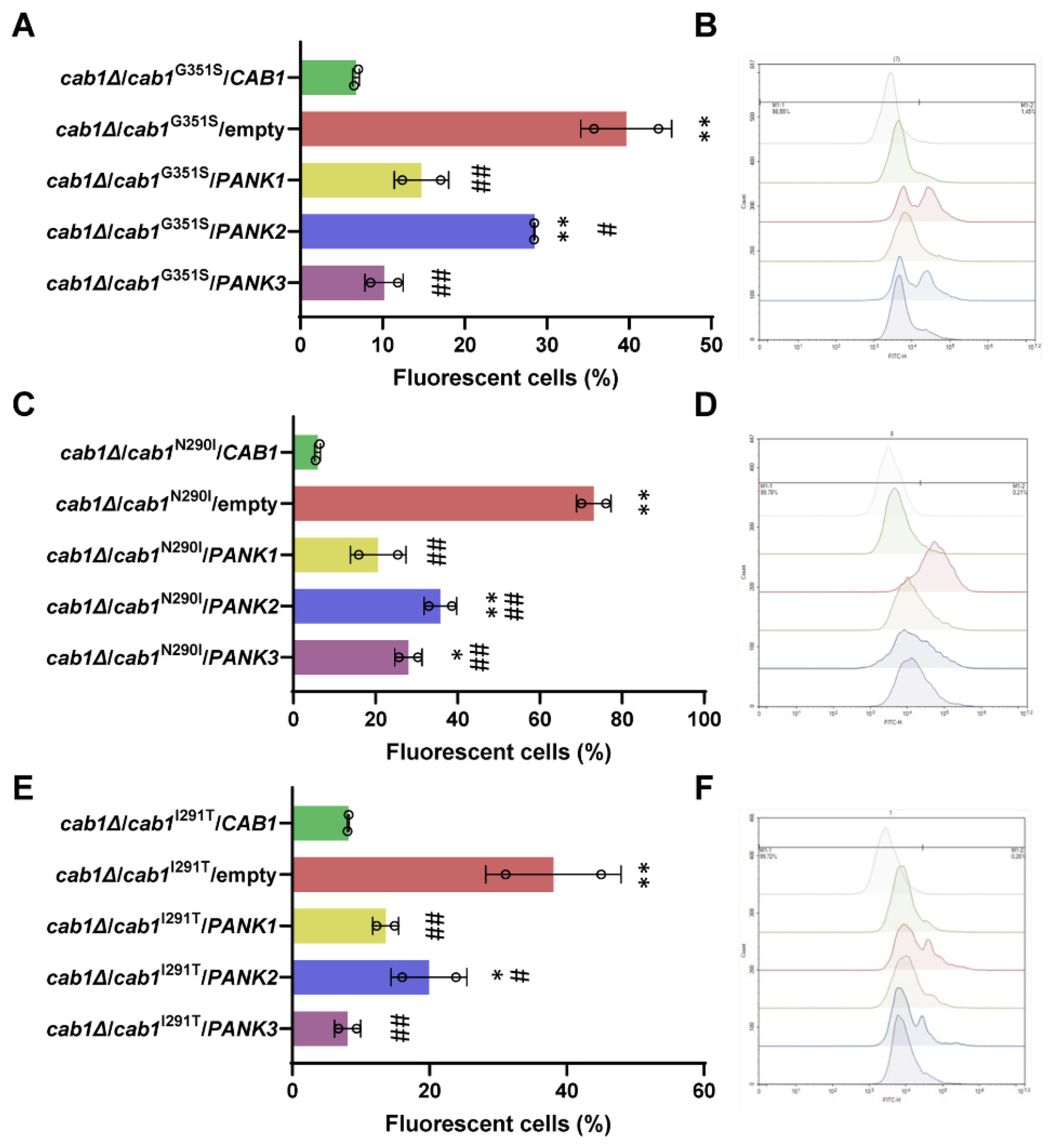 Ijms 24 00435 g005 Ijms 24 00435 g005
