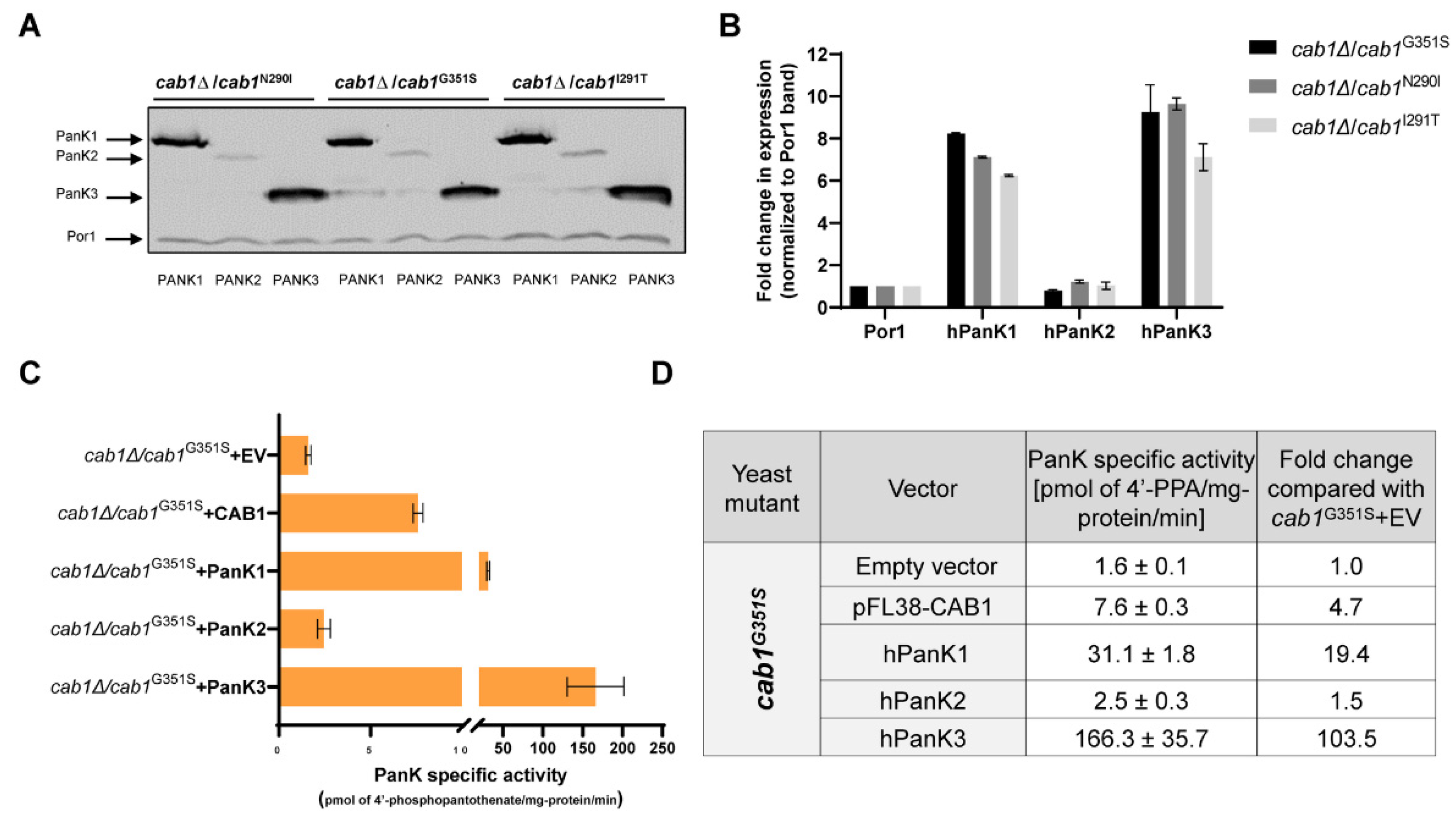 Ijms 24 00435 g006 Ijms 24 00435 g006