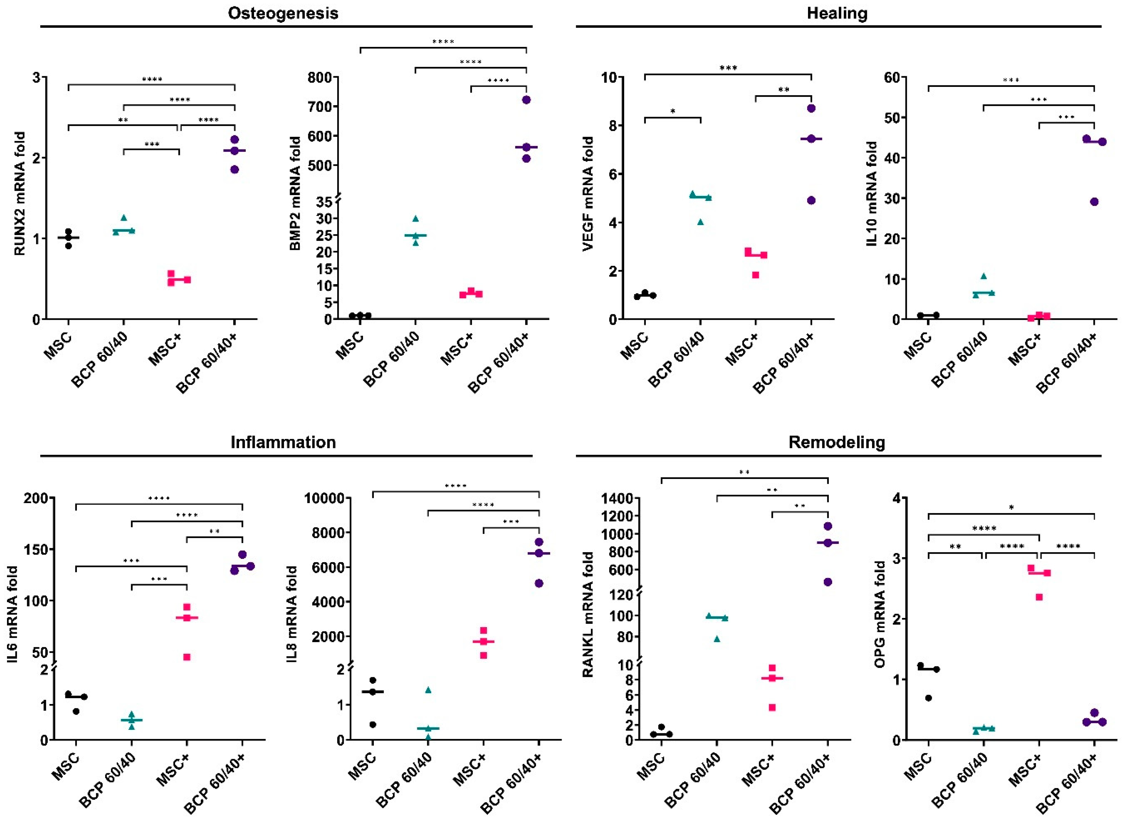 Ijms 24 00438 g002 Ijms 24 00438 g002