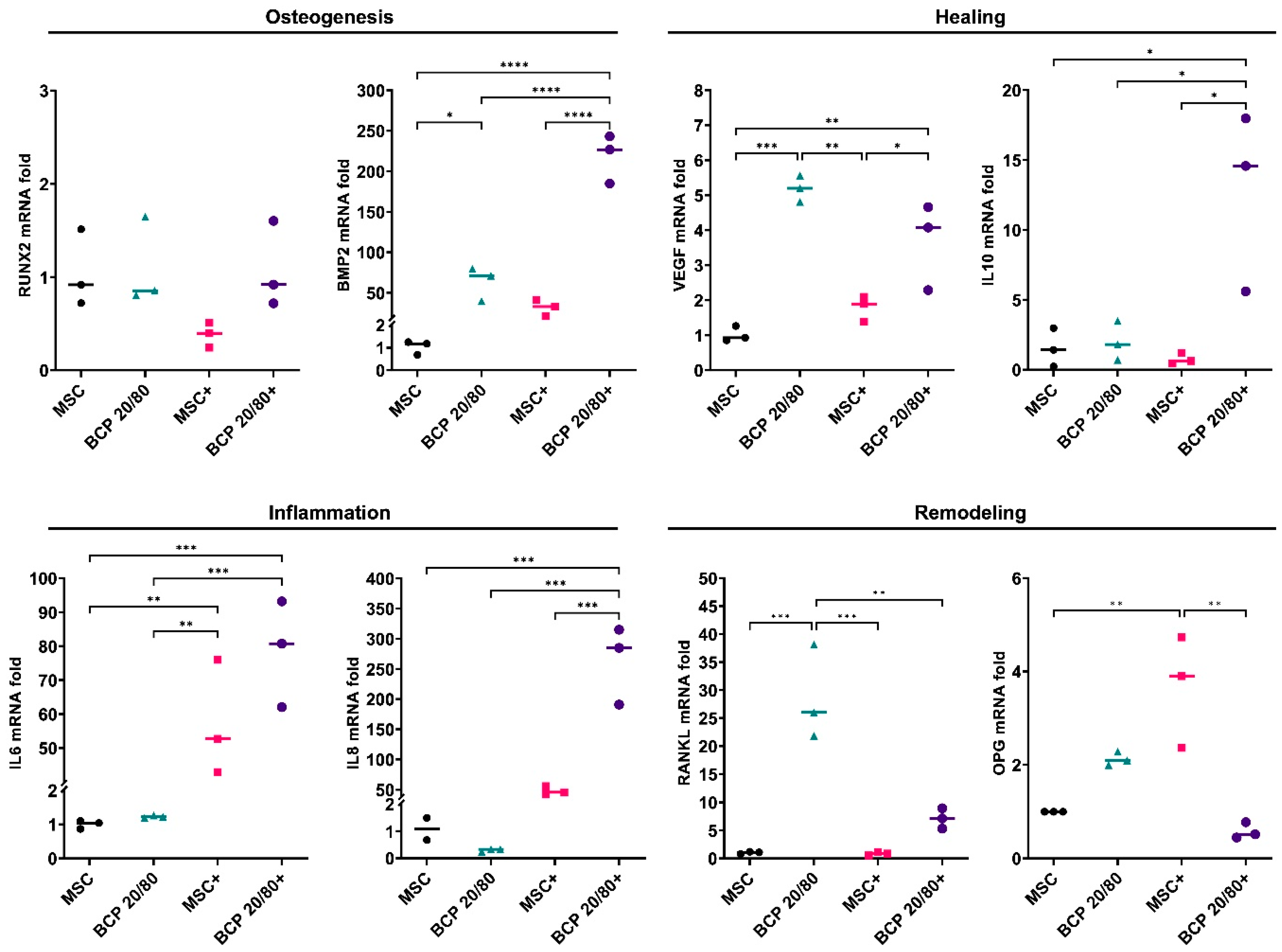 Ijms 24 00438 g003 Ijms 24 00438 g003