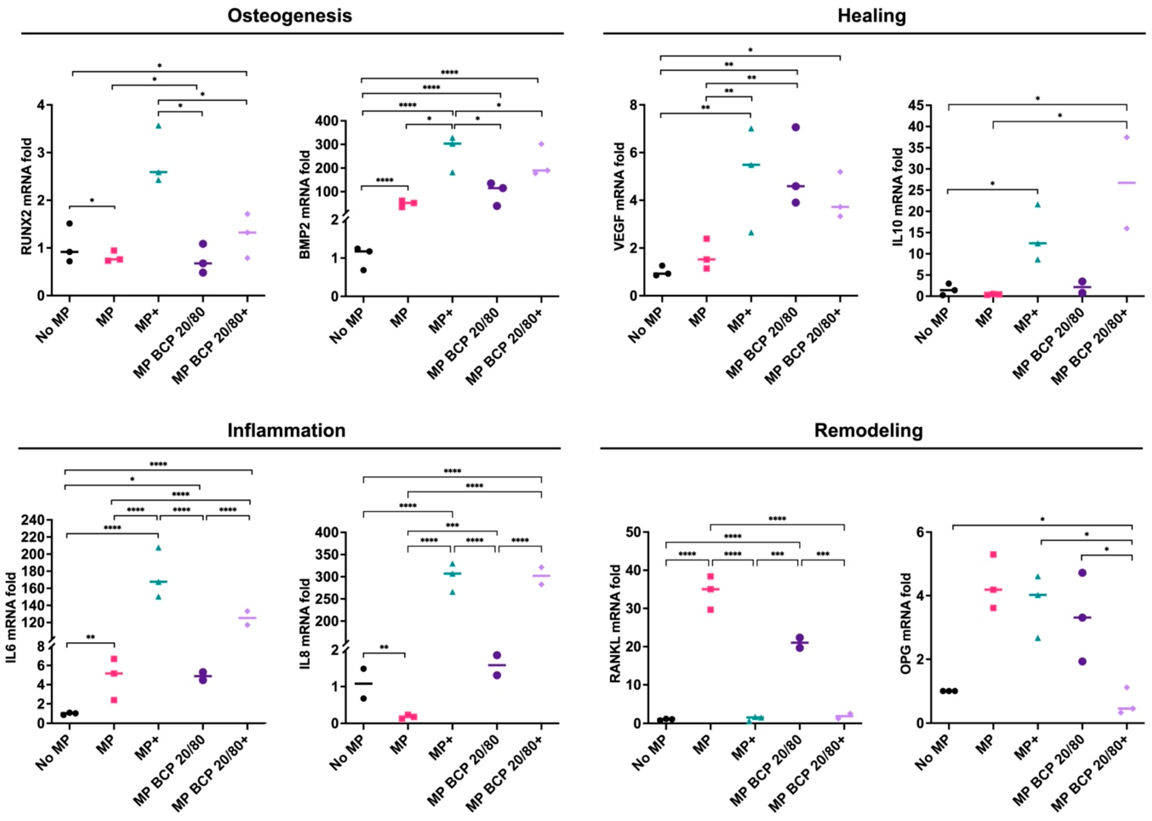 Ijms 24 00438 g006 Ijms 24 00438 g006