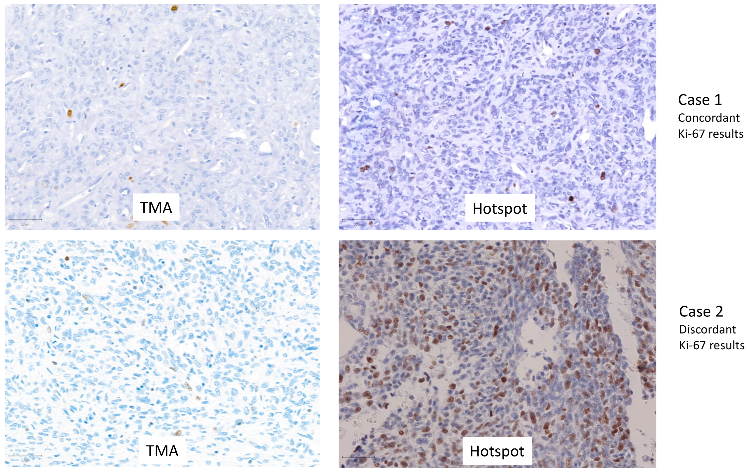 Ijms 24 00439 g001 Ijms 24 00439 g001