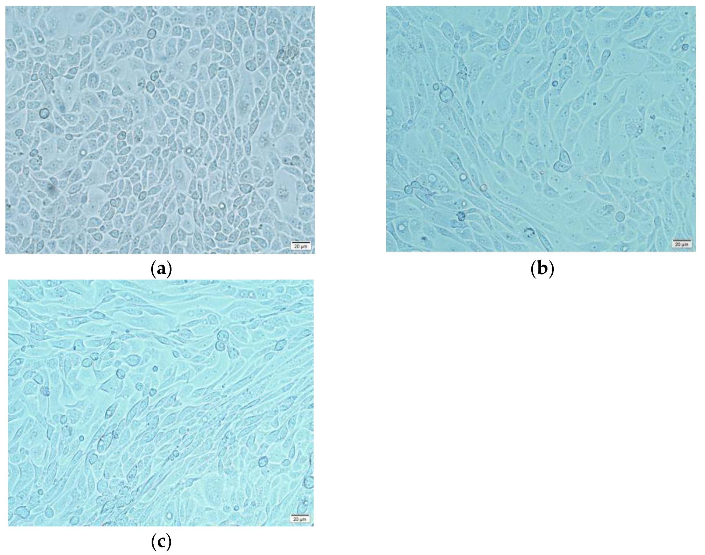 Ijms 24 00450 g001 Ijms 24 00450 g001