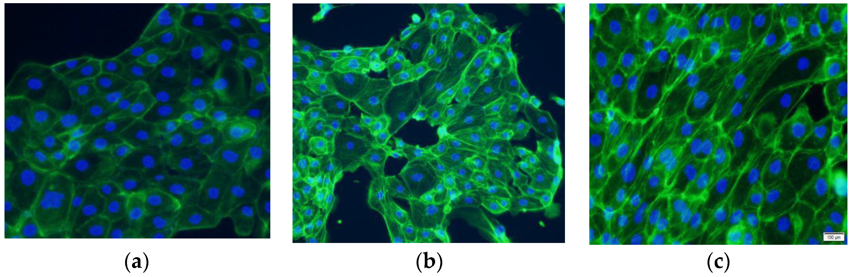 Ijms 24 00450 g002 Ijms 24 00450 g002