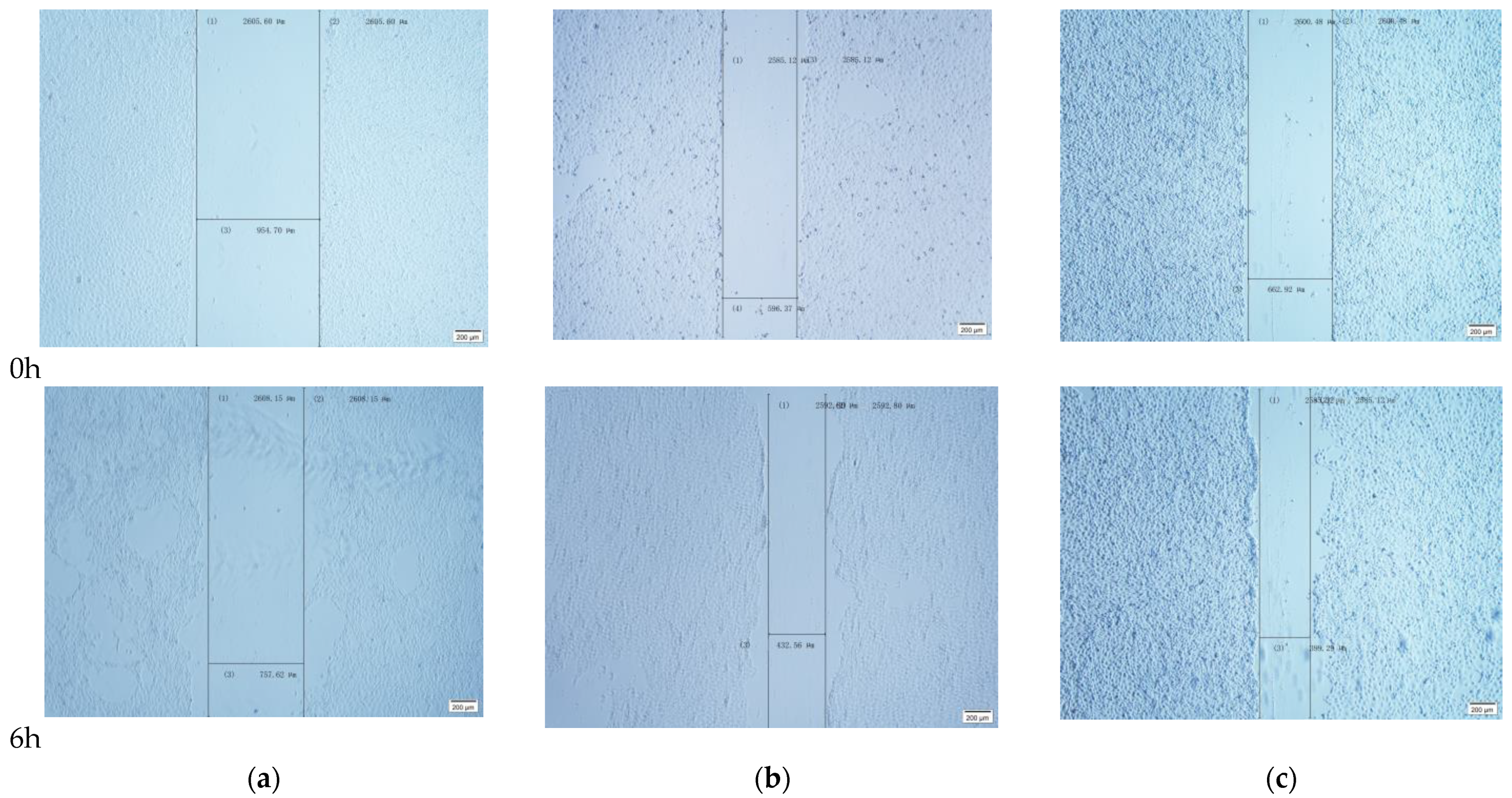 Ijms 24 00450 g005 Ijms 24 00450 g005