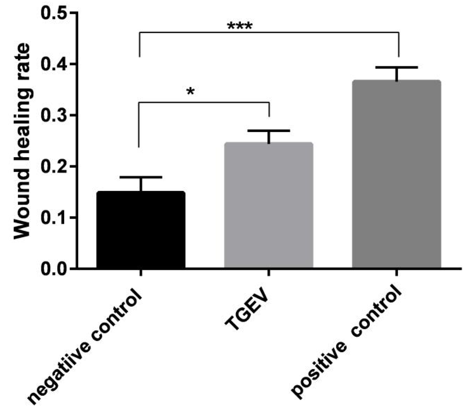 Ijms 24 00450 g006 Ijms 24 00450 g006