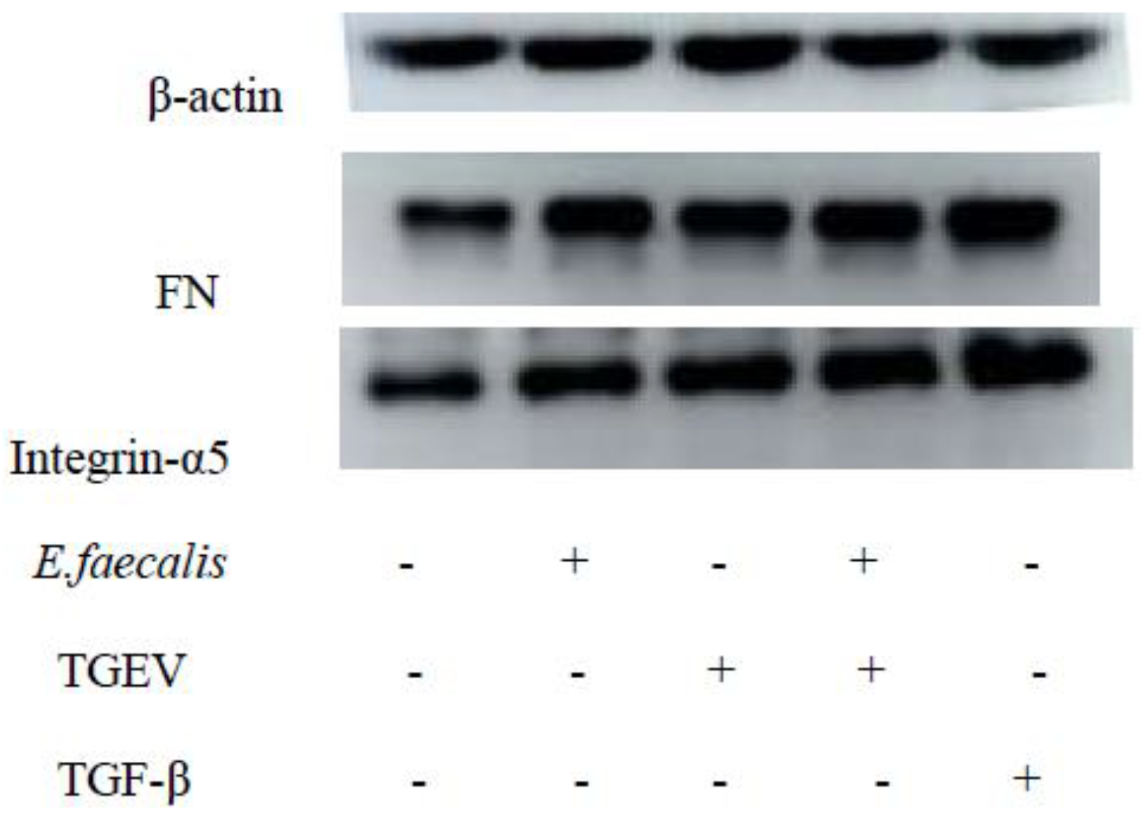 Ijms 24 00450 g011 Ijms 24 00450 g011