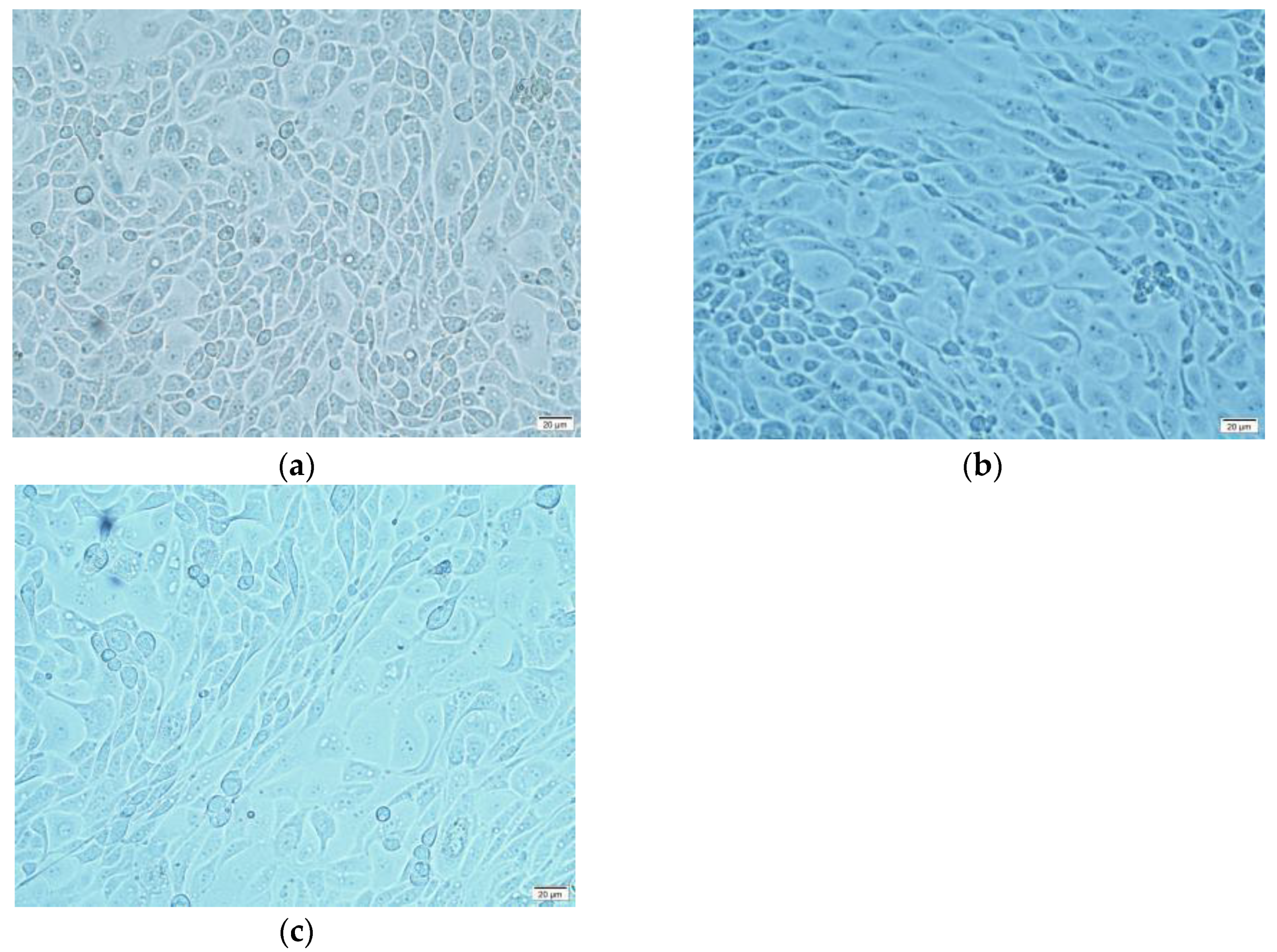 Ijms 24 00450 g0a1 Ijms 24 00450 g0a1