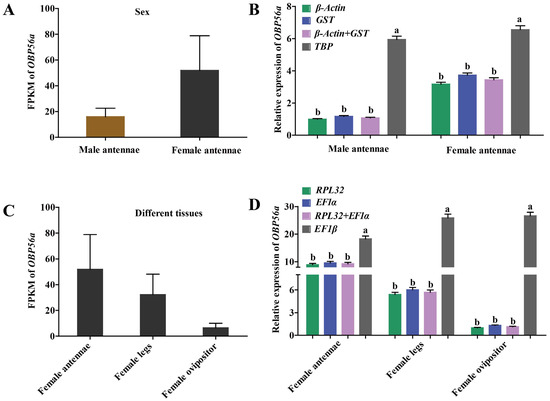 sai Frontiers | Microbiota modulation for infectious