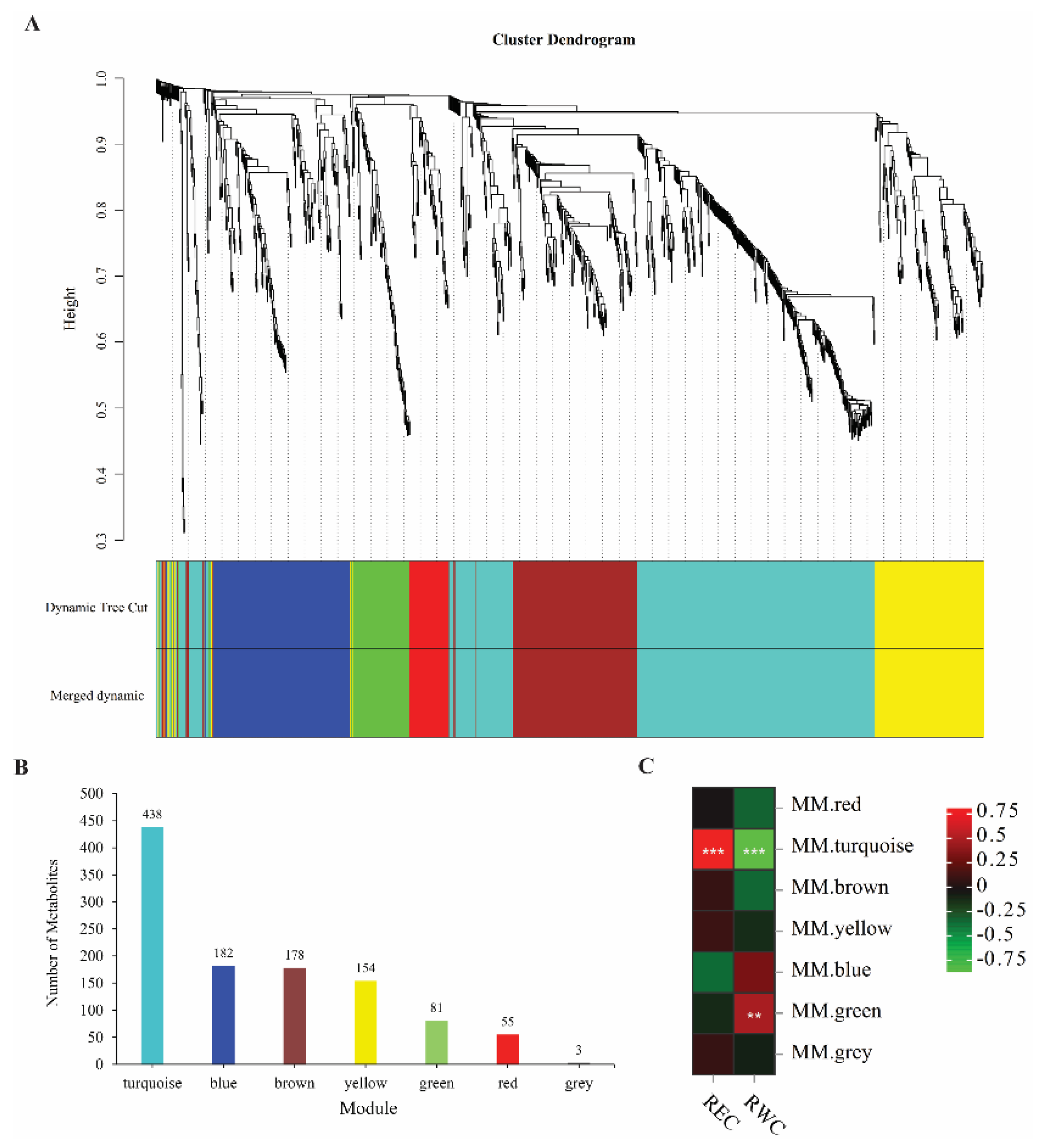 Ijms 24 00452 g005 Ijms 24 00452 g005