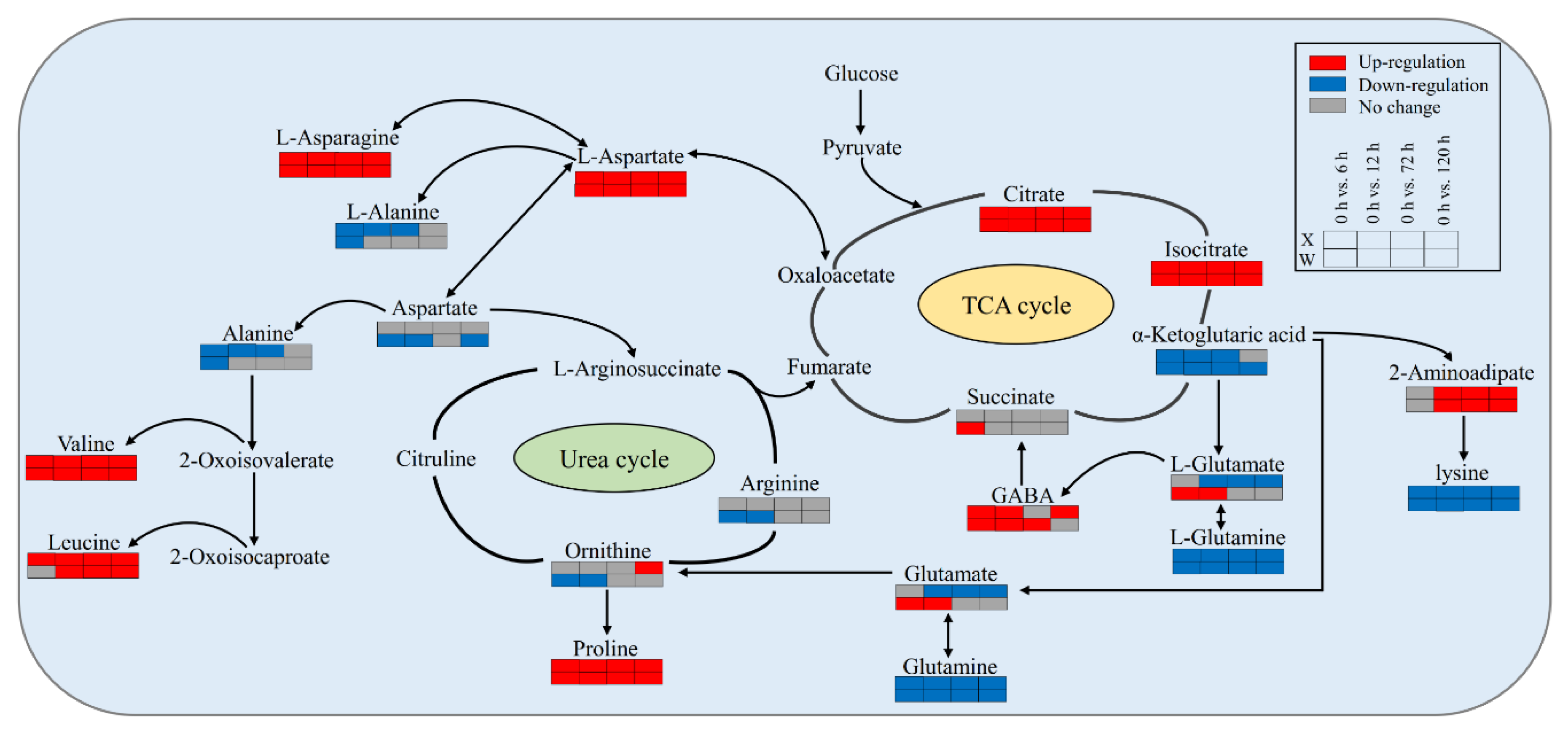 Ijms 24 00452 g008 Ijms 24 00452 g008