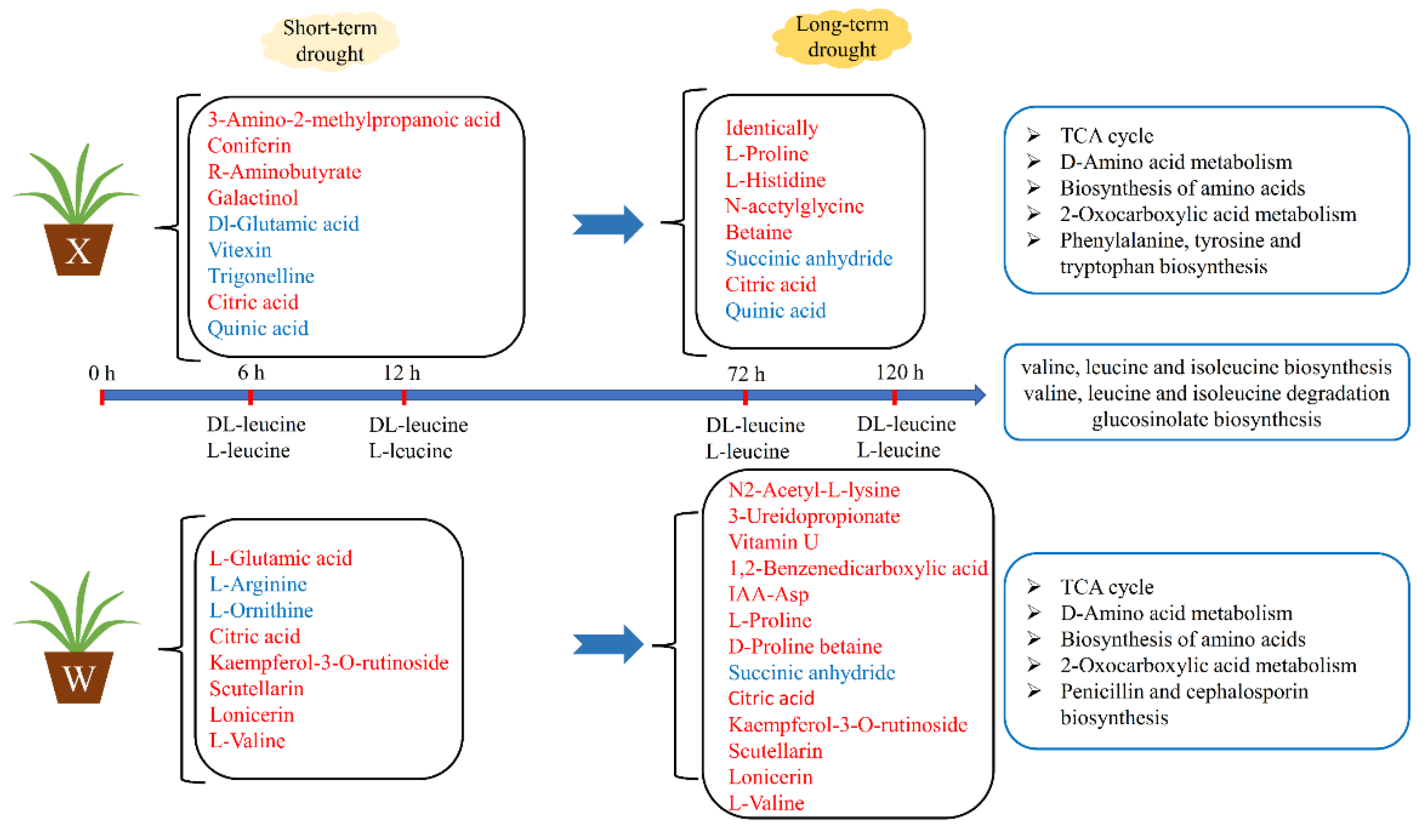 Ijms 24 00452 g009 Ijms 24 00452 g009
