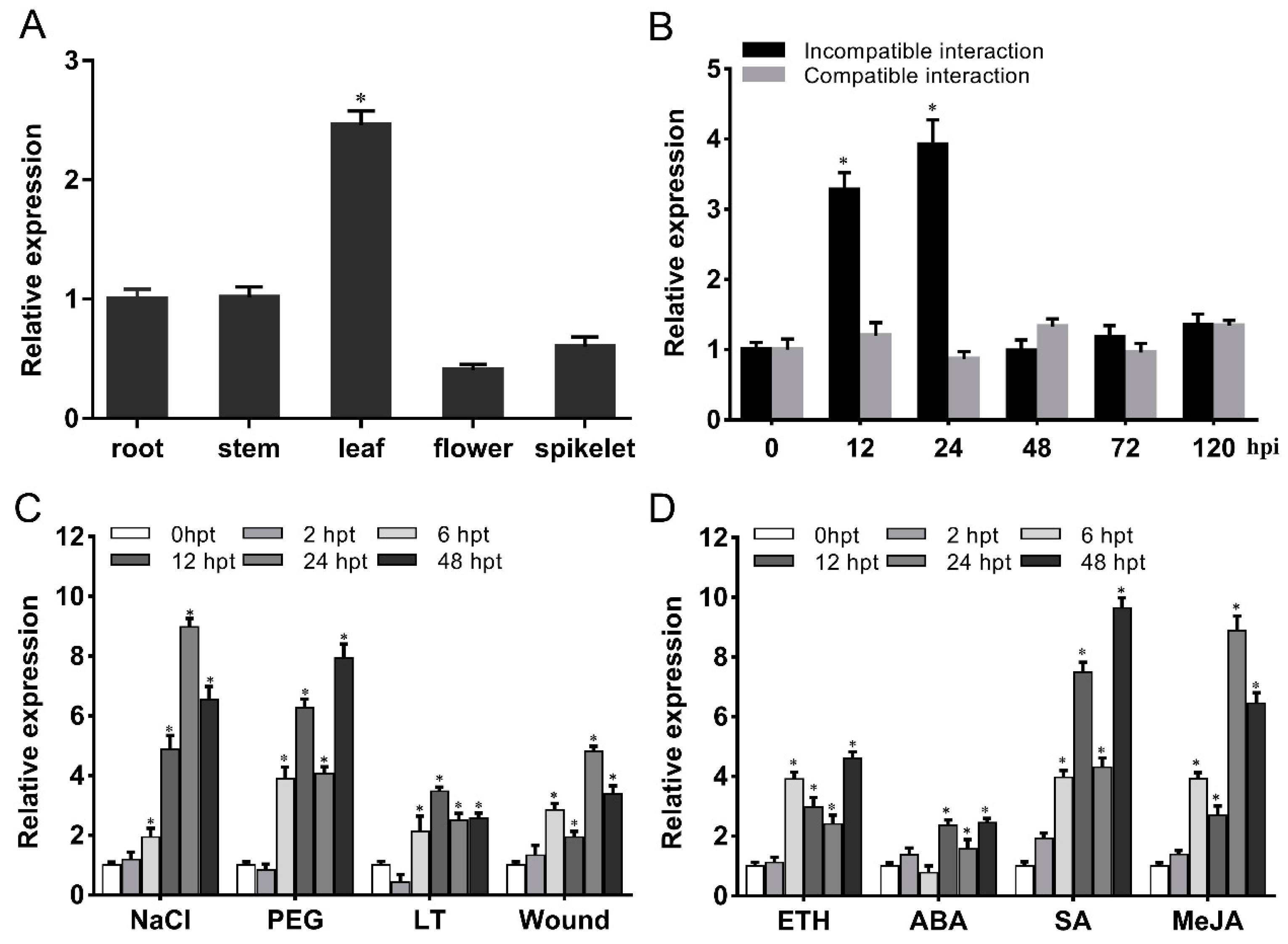 Ijms 24 00459 g002 Ijms 24 00459 g002
