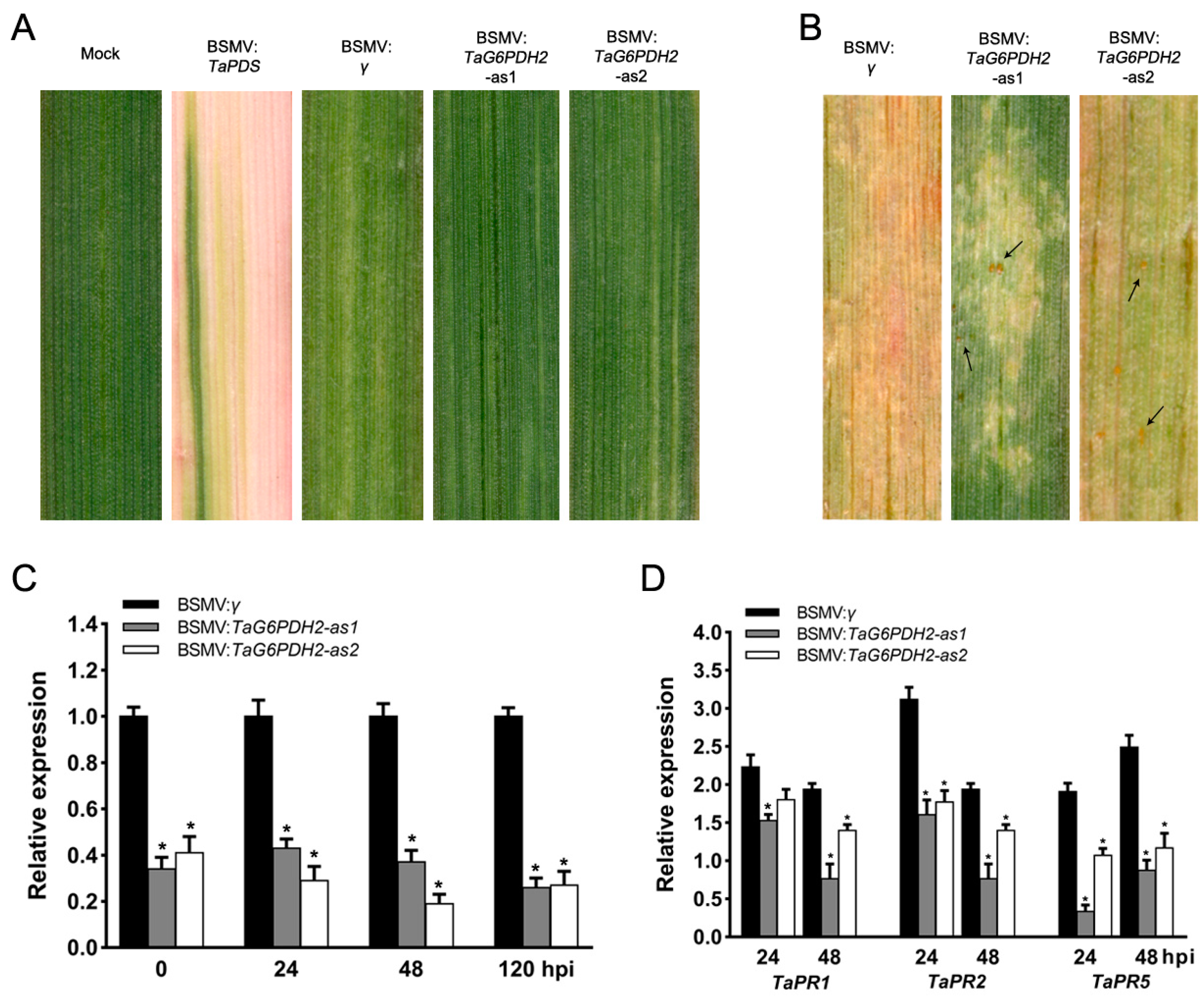 Ijms 24 00459 g004 Ijms 24 00459 g004