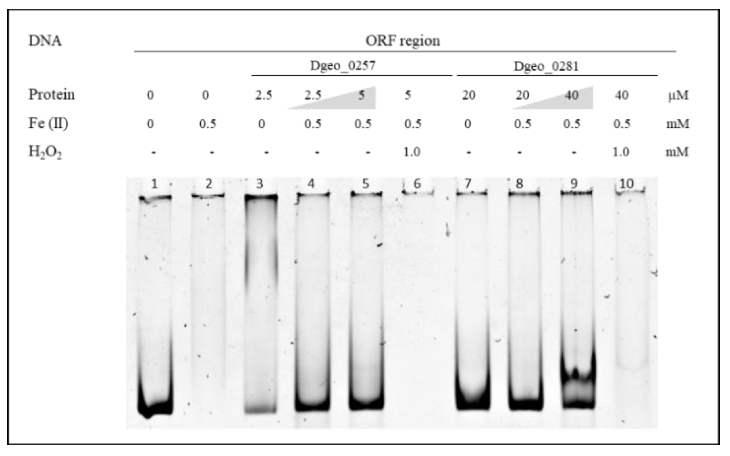Ijms 24 00469 g003 Ijms 24 00469 g003