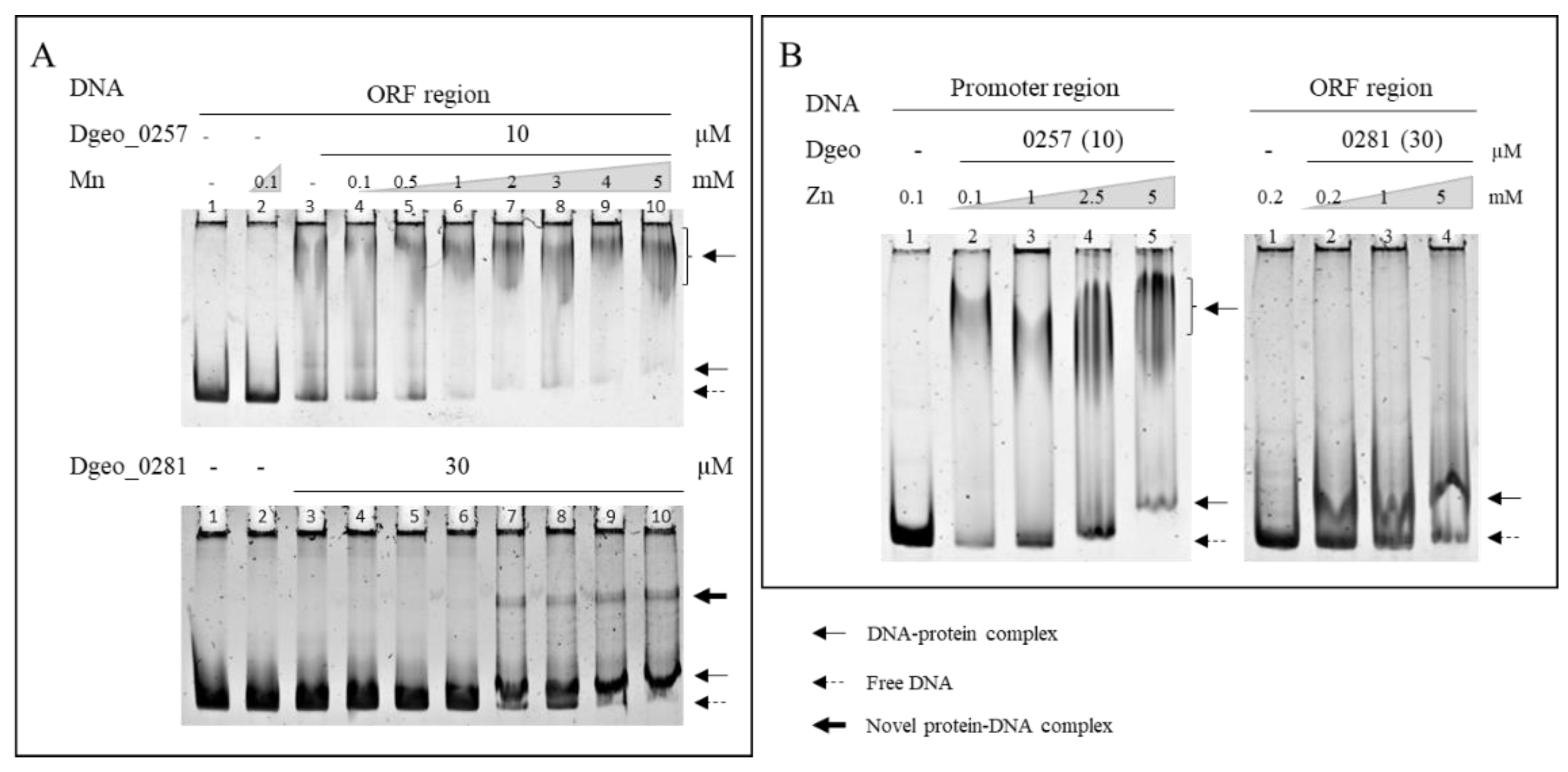 Ijms 24 00469 g004 Ijms 24 00469 g004