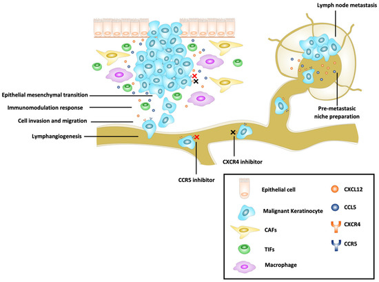 Therapeutic Perspectives of HIV-Associated Chemokine Receptor (CCR5 and ...