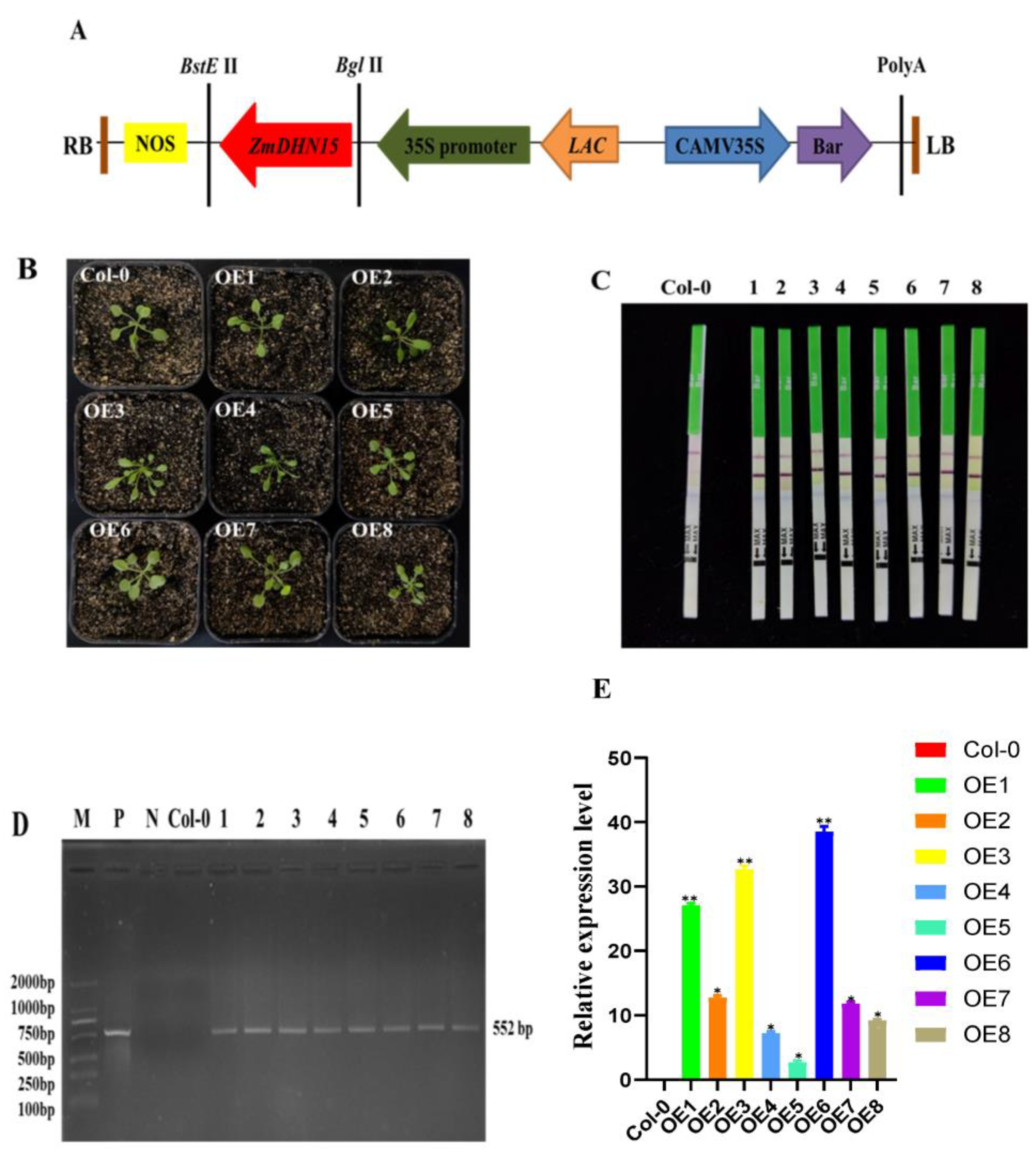 Ijms 24 00480 g005 Ijms 24 00480 g005