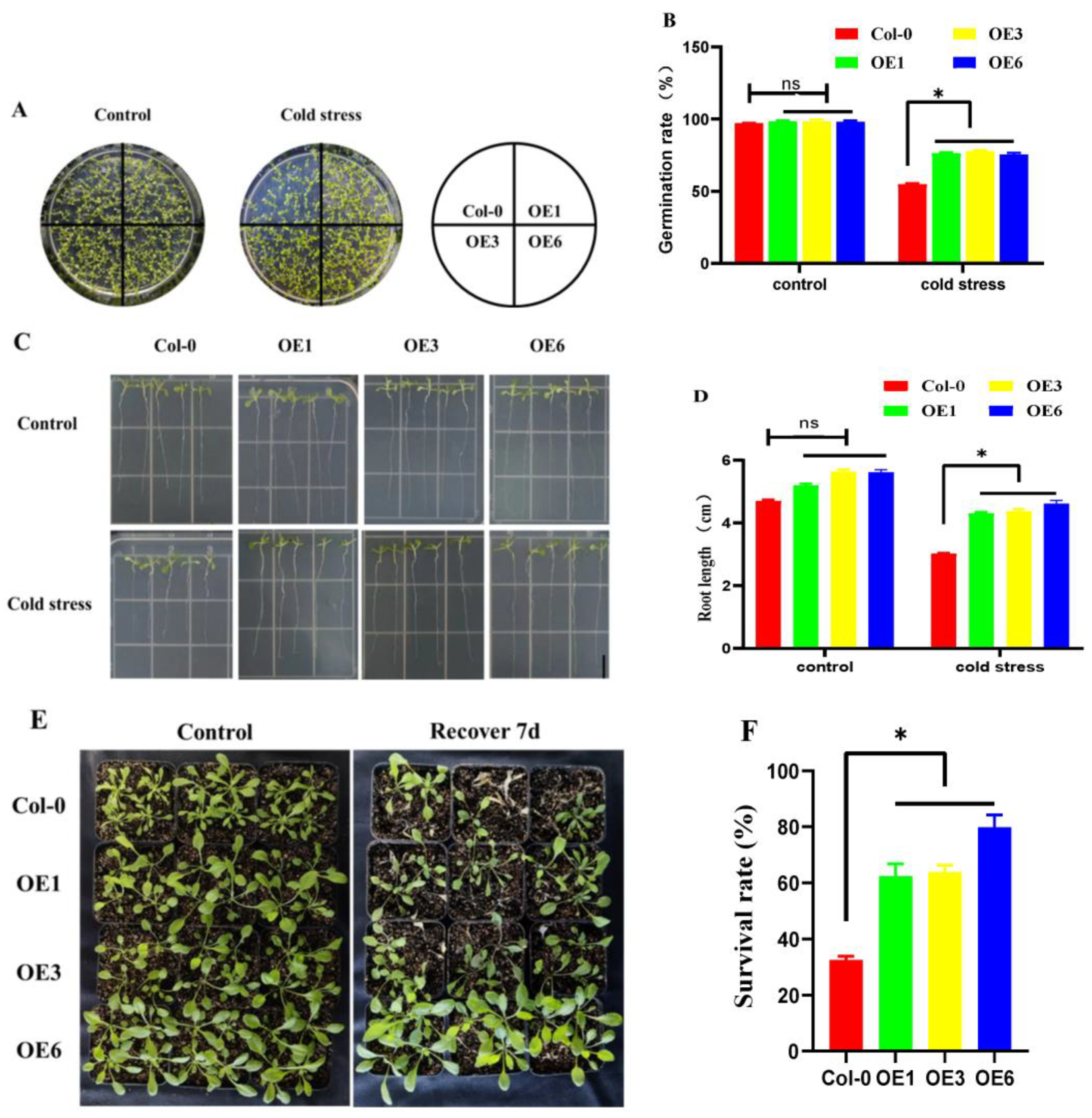 Ijms 24 00480 g006 Ijms 24 00480 g006