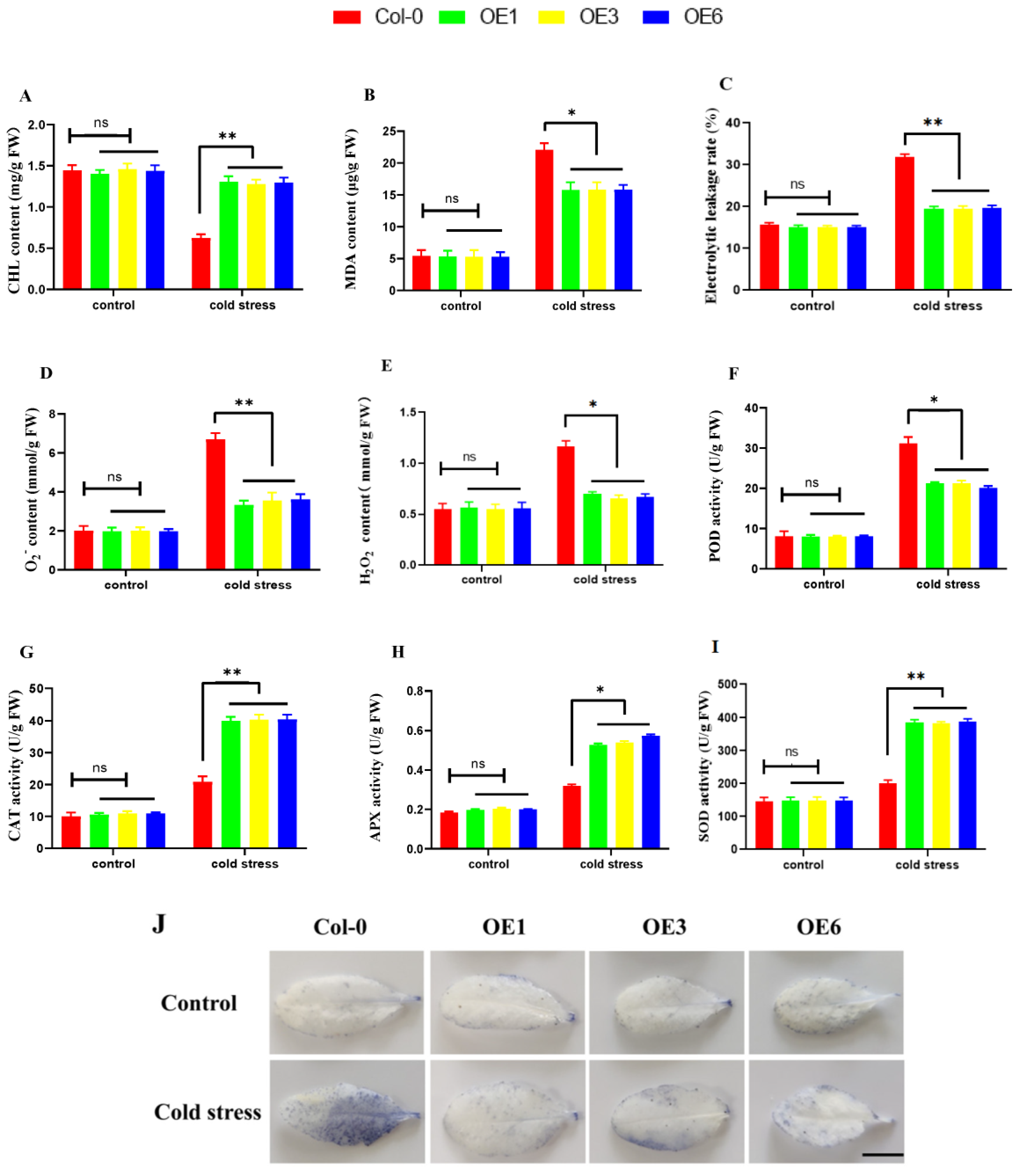 Ijms 24 00480 g008 Ijms 24 00480 g008