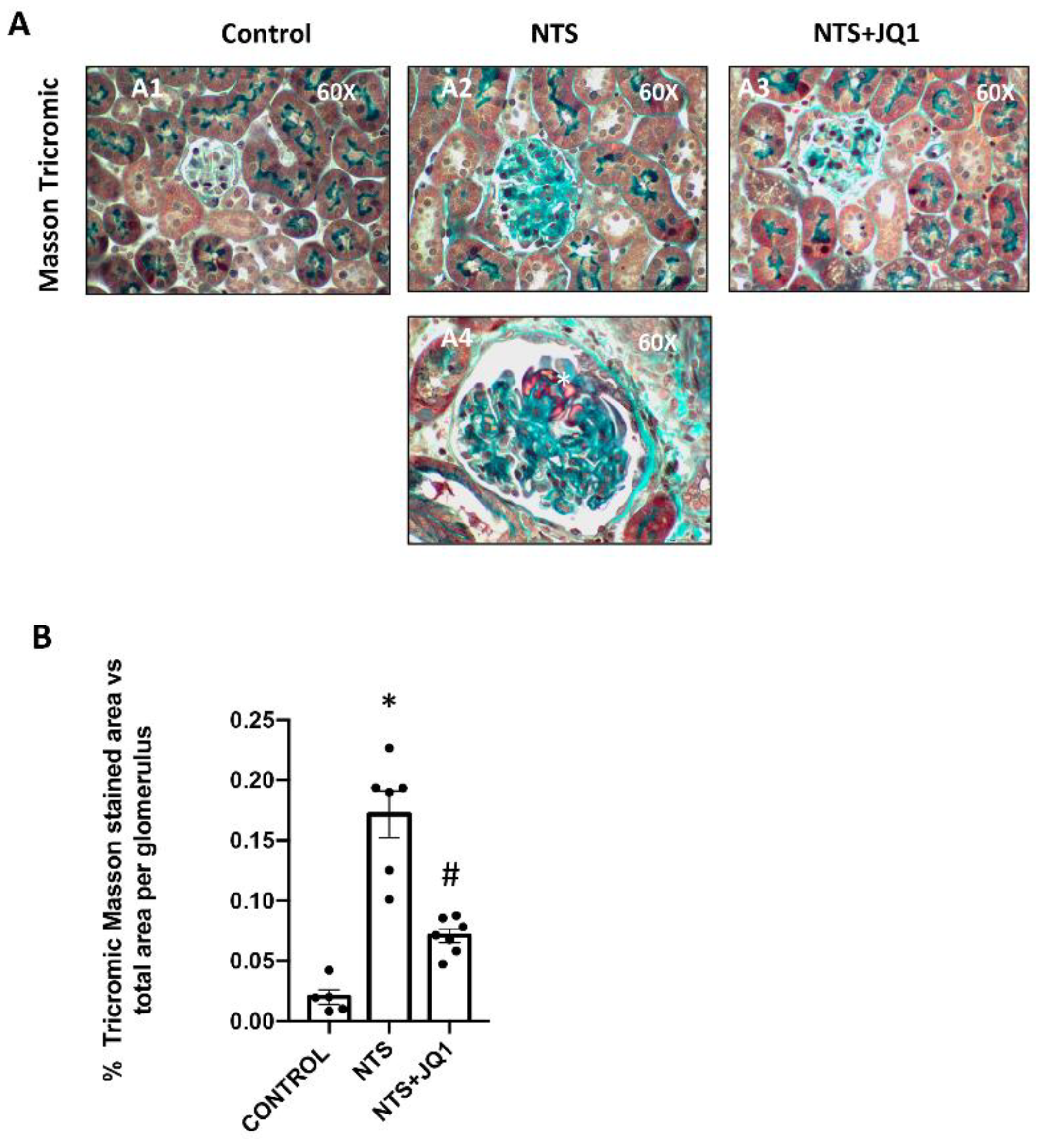 Ijms 24 00486 g001 Ijms 24 00486 g001