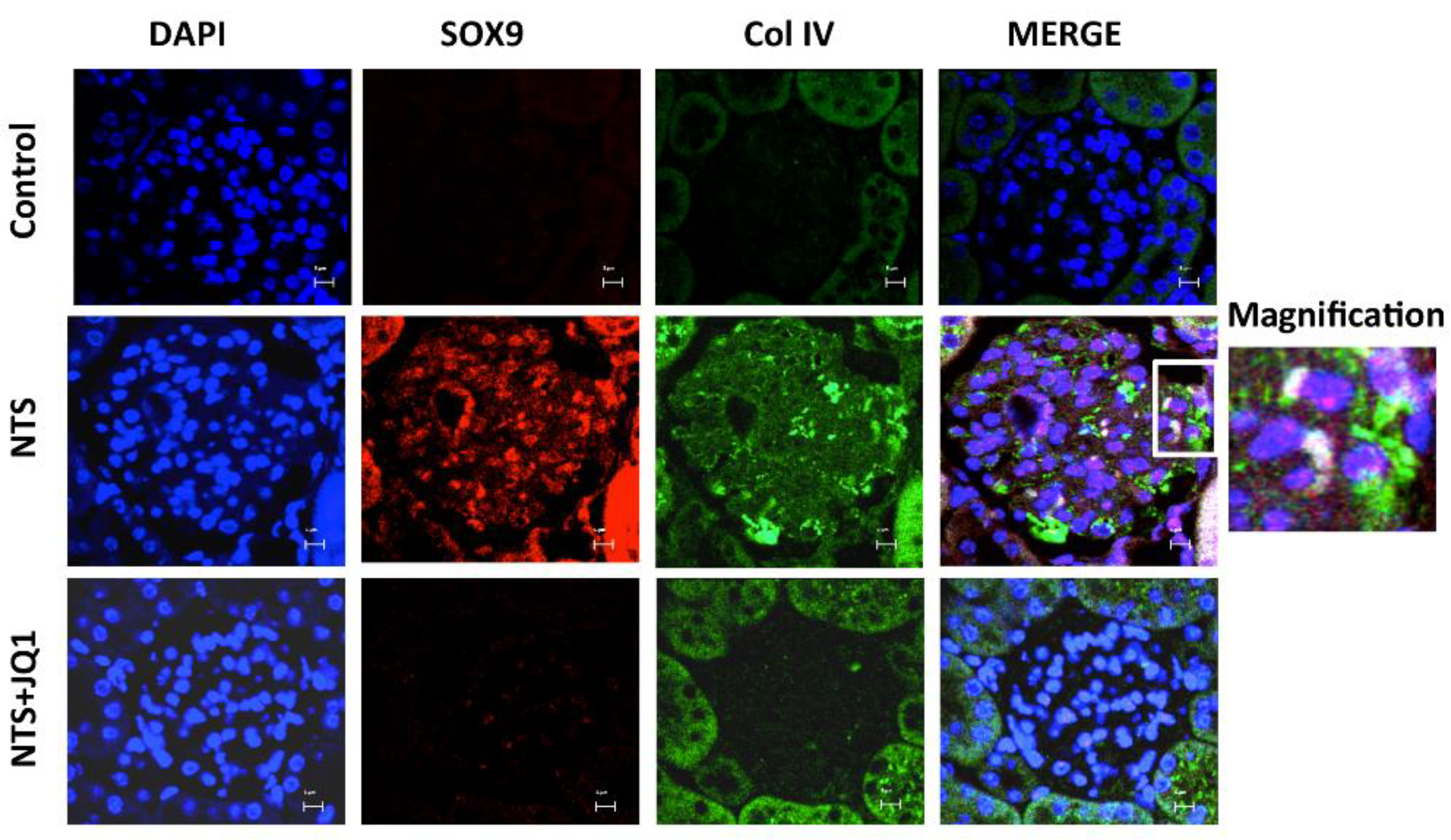 Ijms 24 00486 g008 Ijms 24 00486 g008