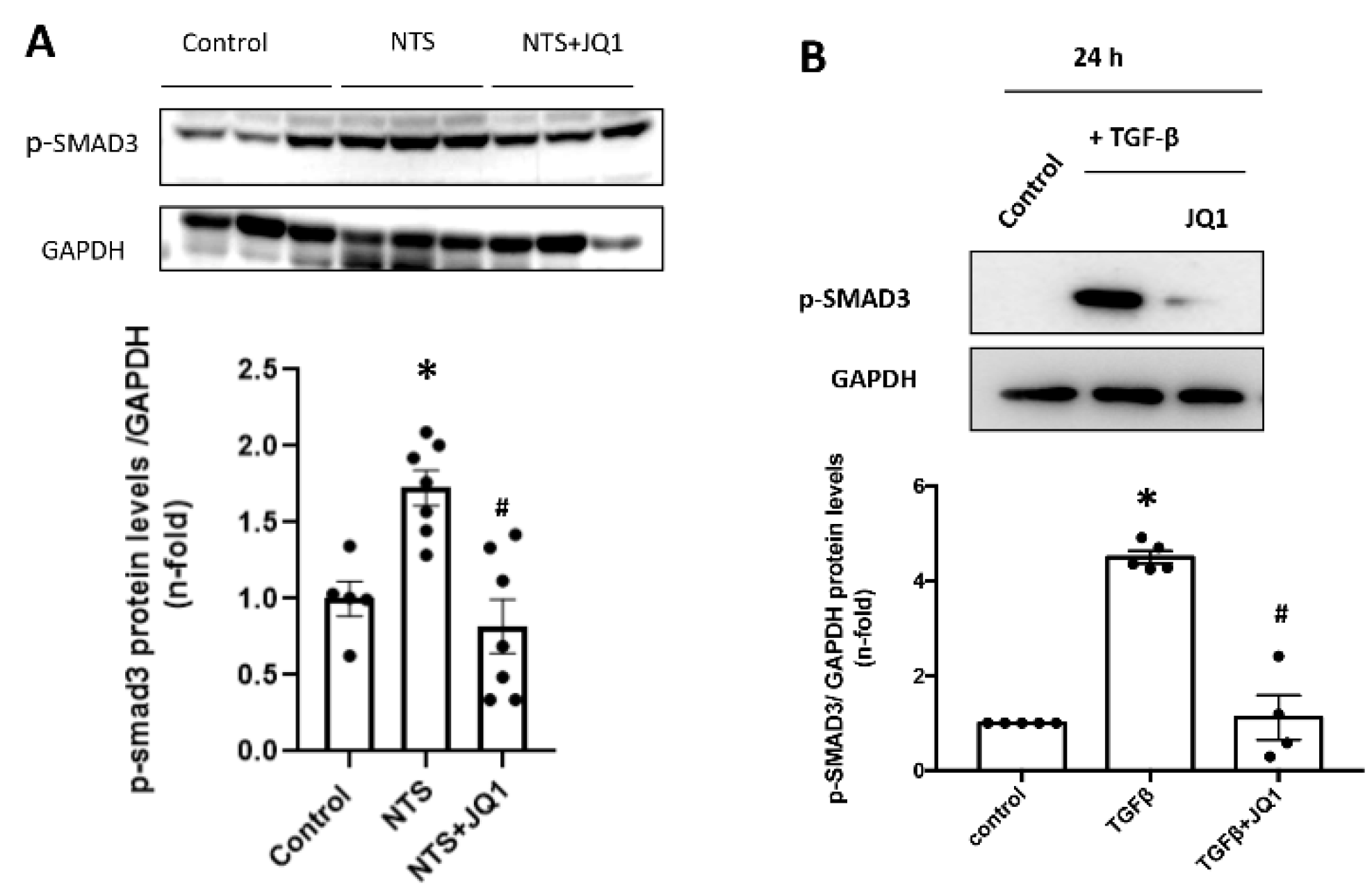 Ijms 24 00486 g009 Ijms 24 00486 g009