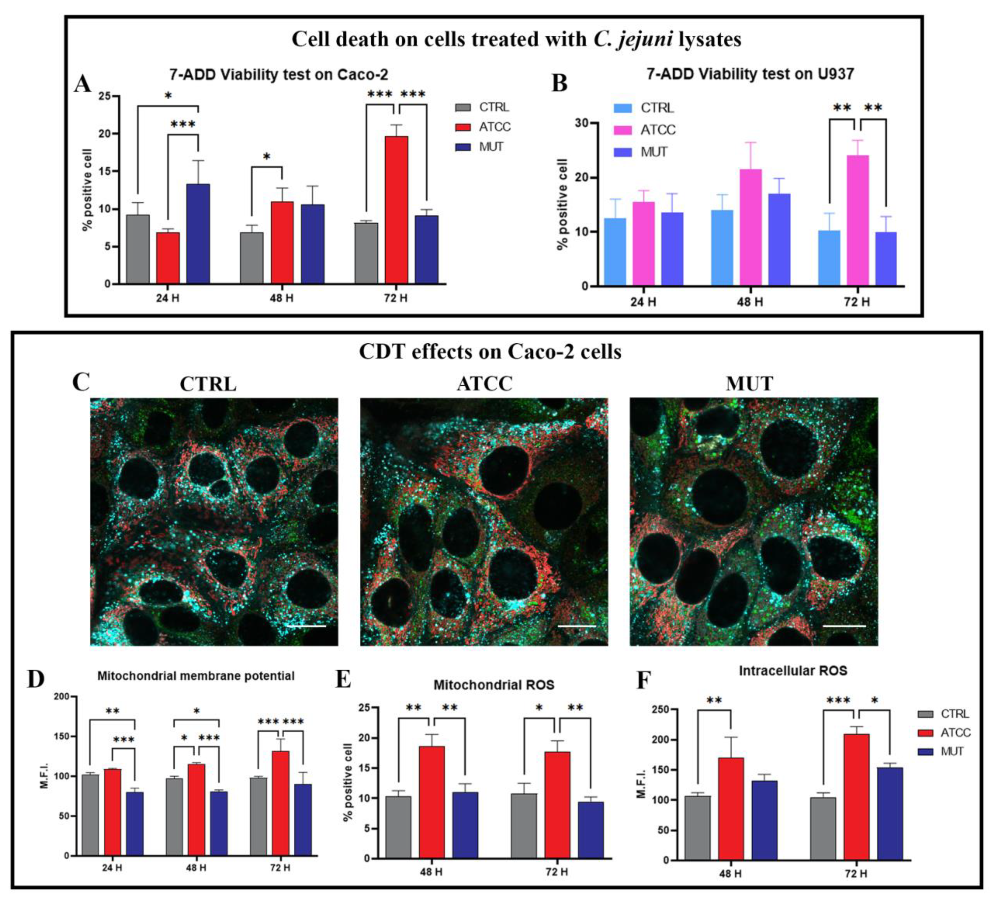 Ijms 24 00487 g001 Ijms 24 00487 g001