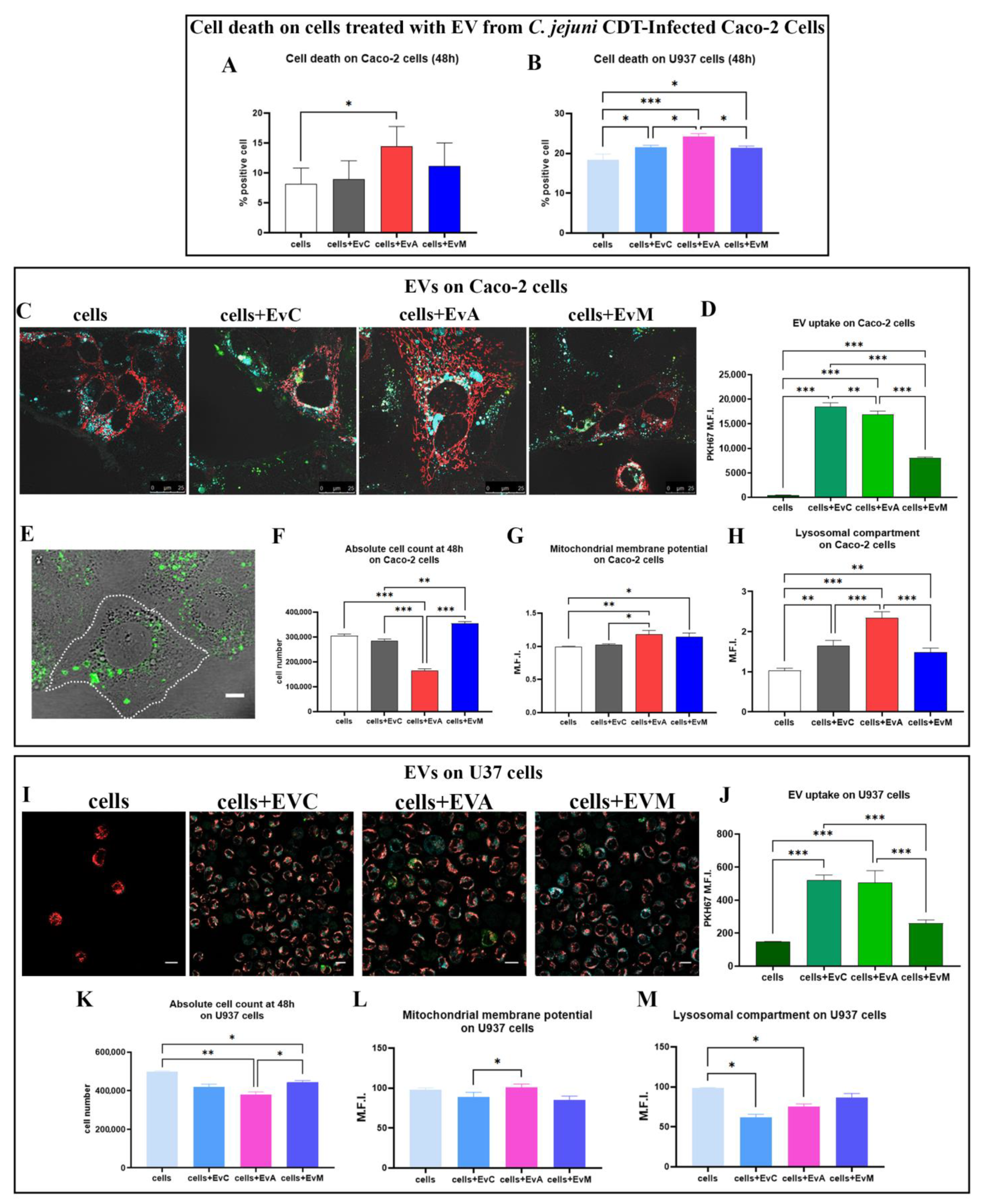 Ijms 24 00487 g006 Ijms 24 00487 g006