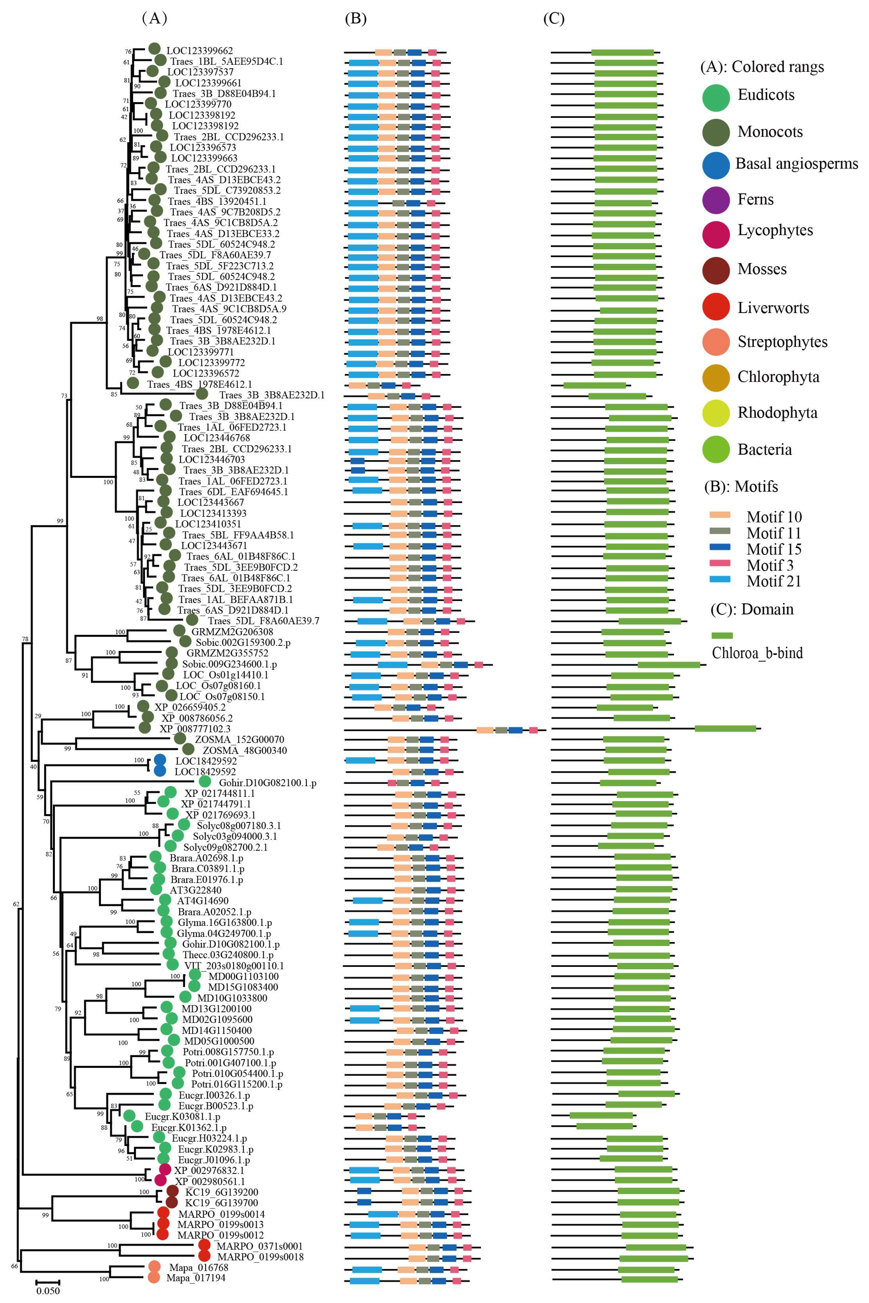 Ijms 24 00488 g002 Ijms 24 00488 g002