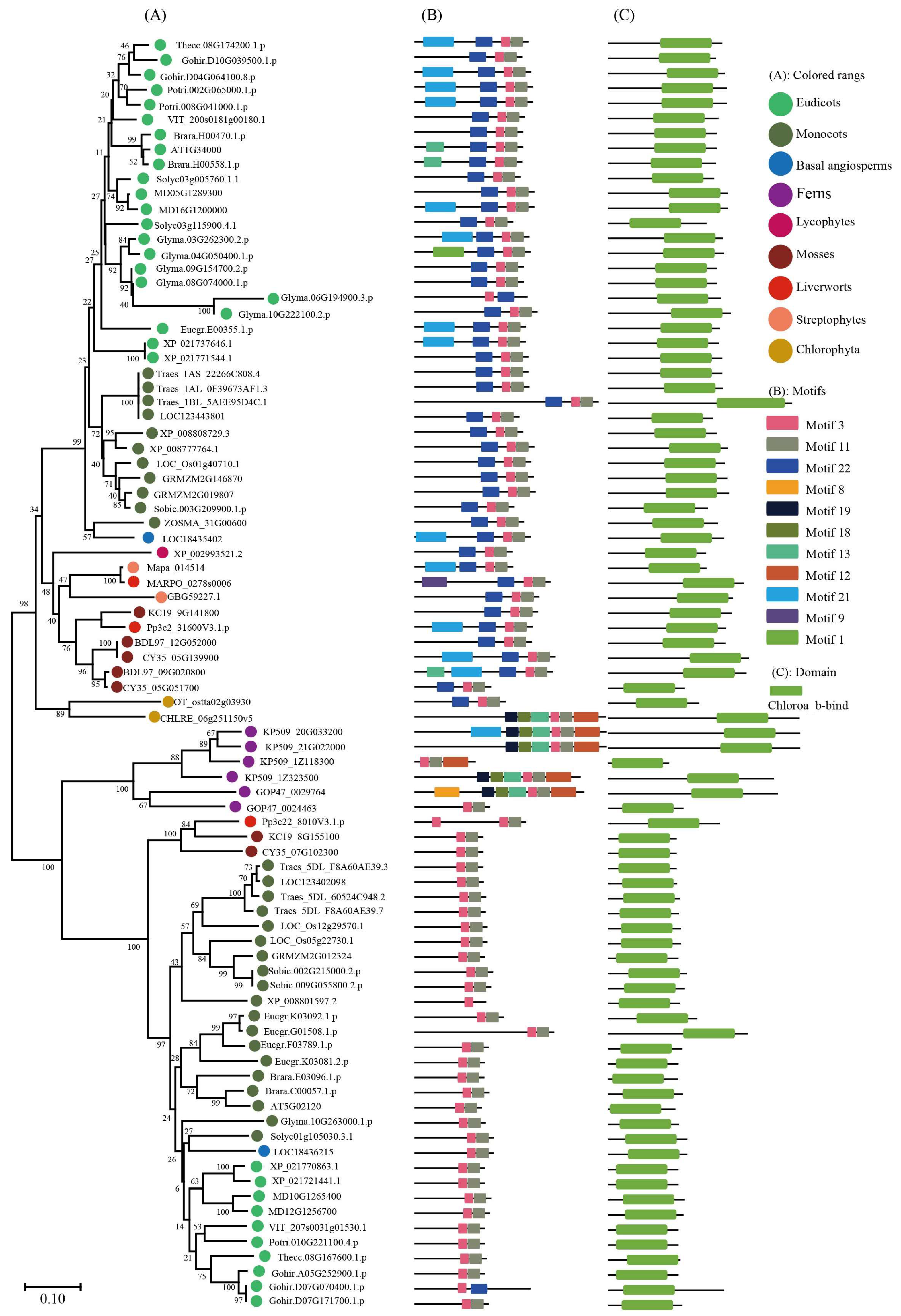Ijms 24 00488 g003 Ijms 24 00488 g003