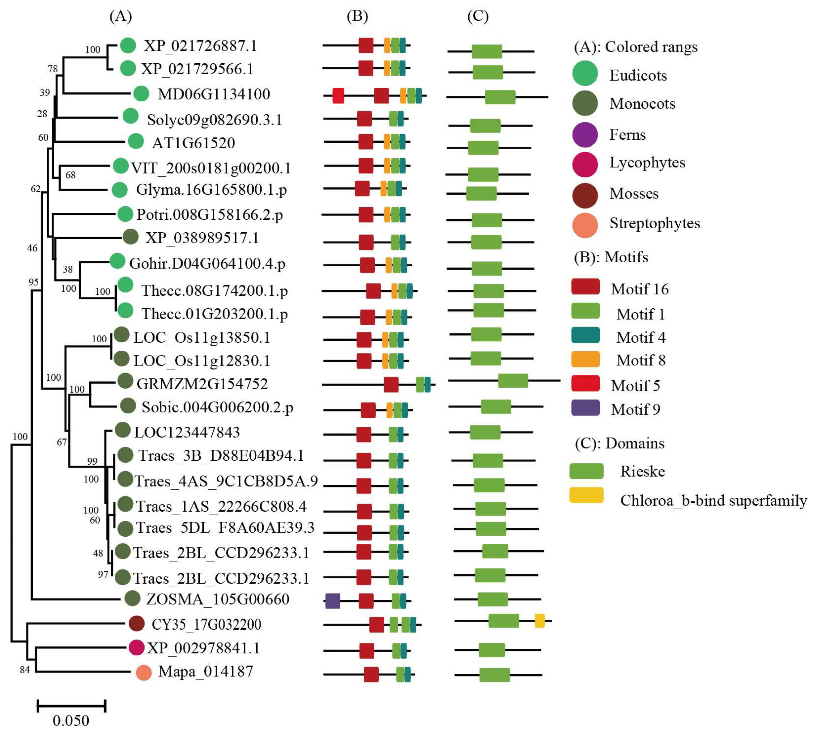 Ijms 24 00488 g005 Ijms 24 00488 g005
