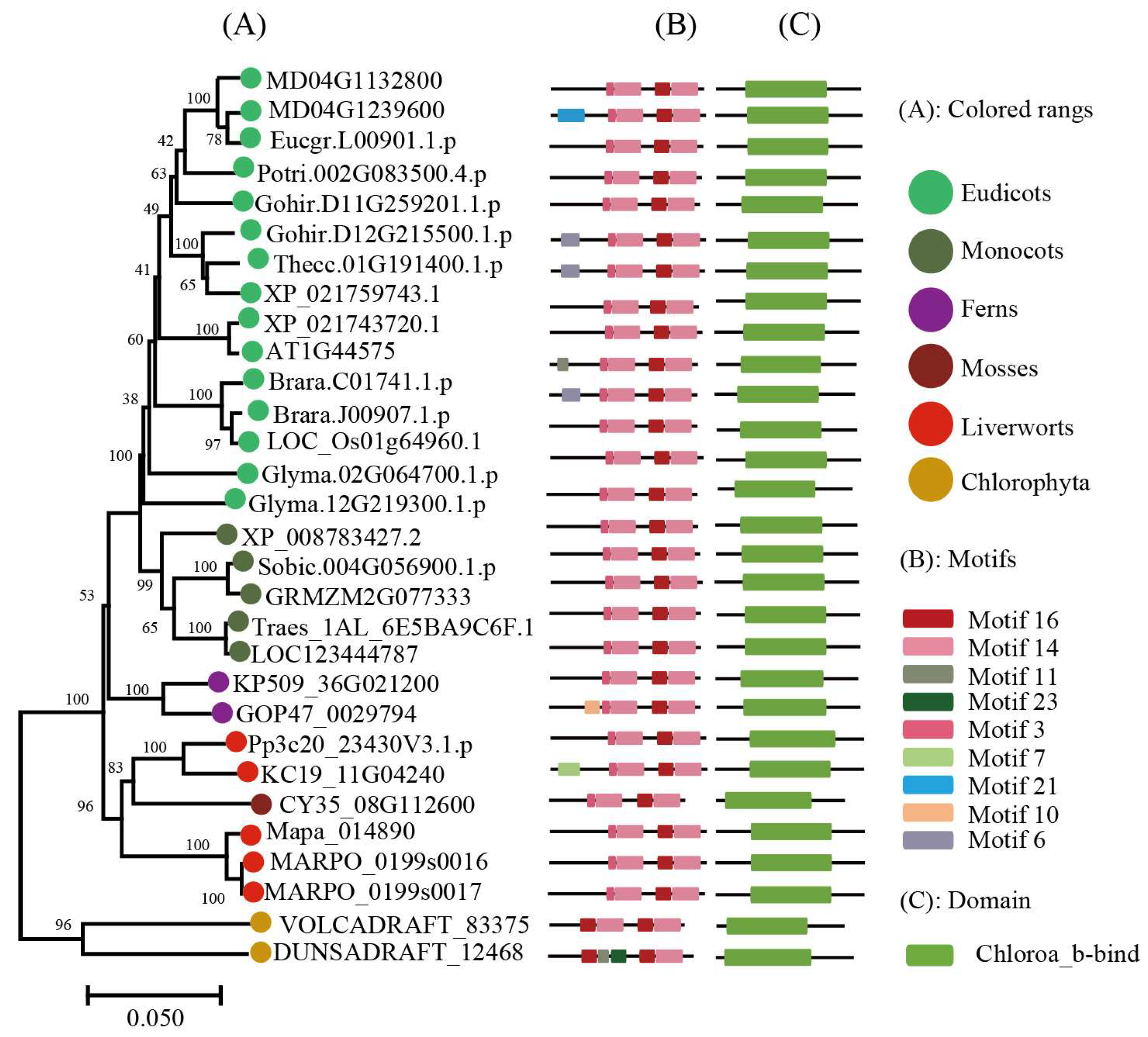 Ijms 24 00488 g006 Ijms 24 00488 g006