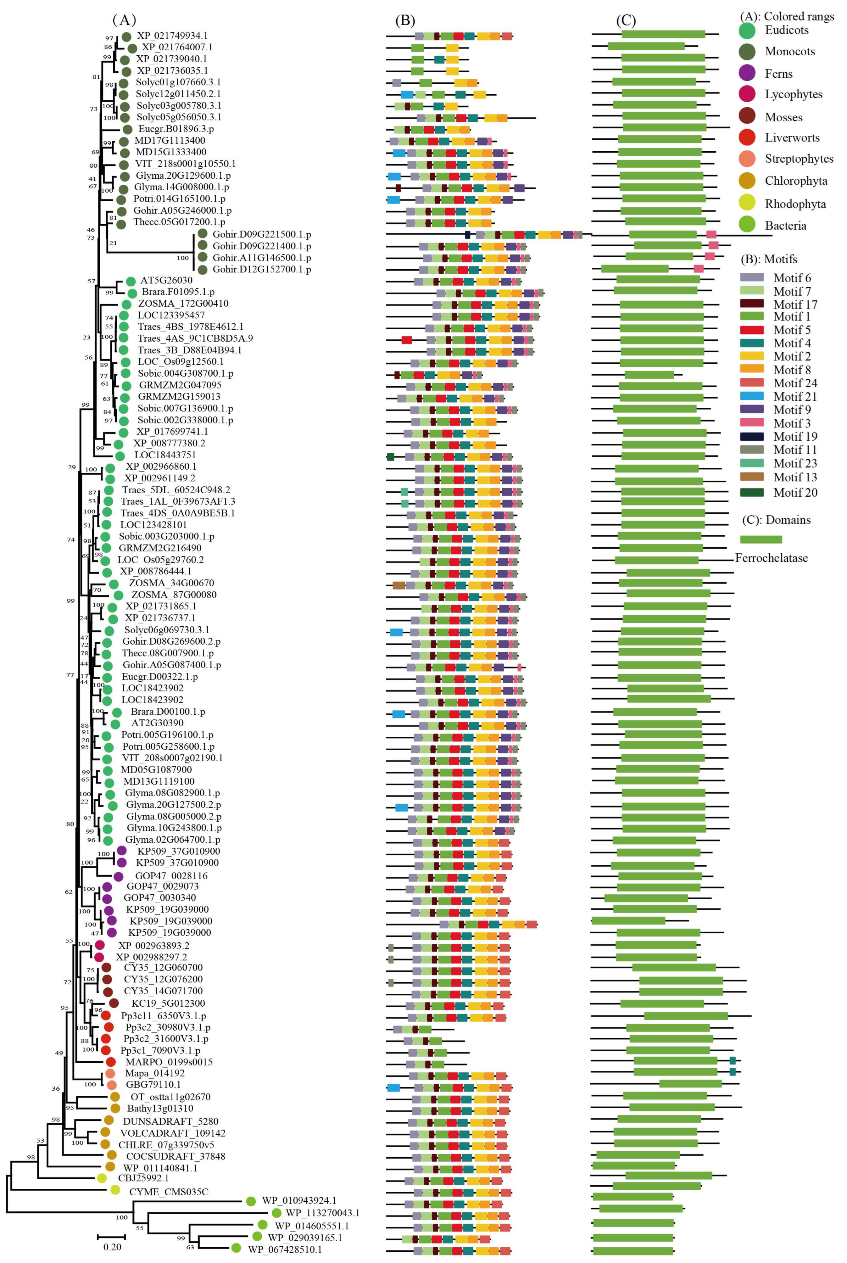 Ijms 24 00488 g007 Ijms 24 00488 g007