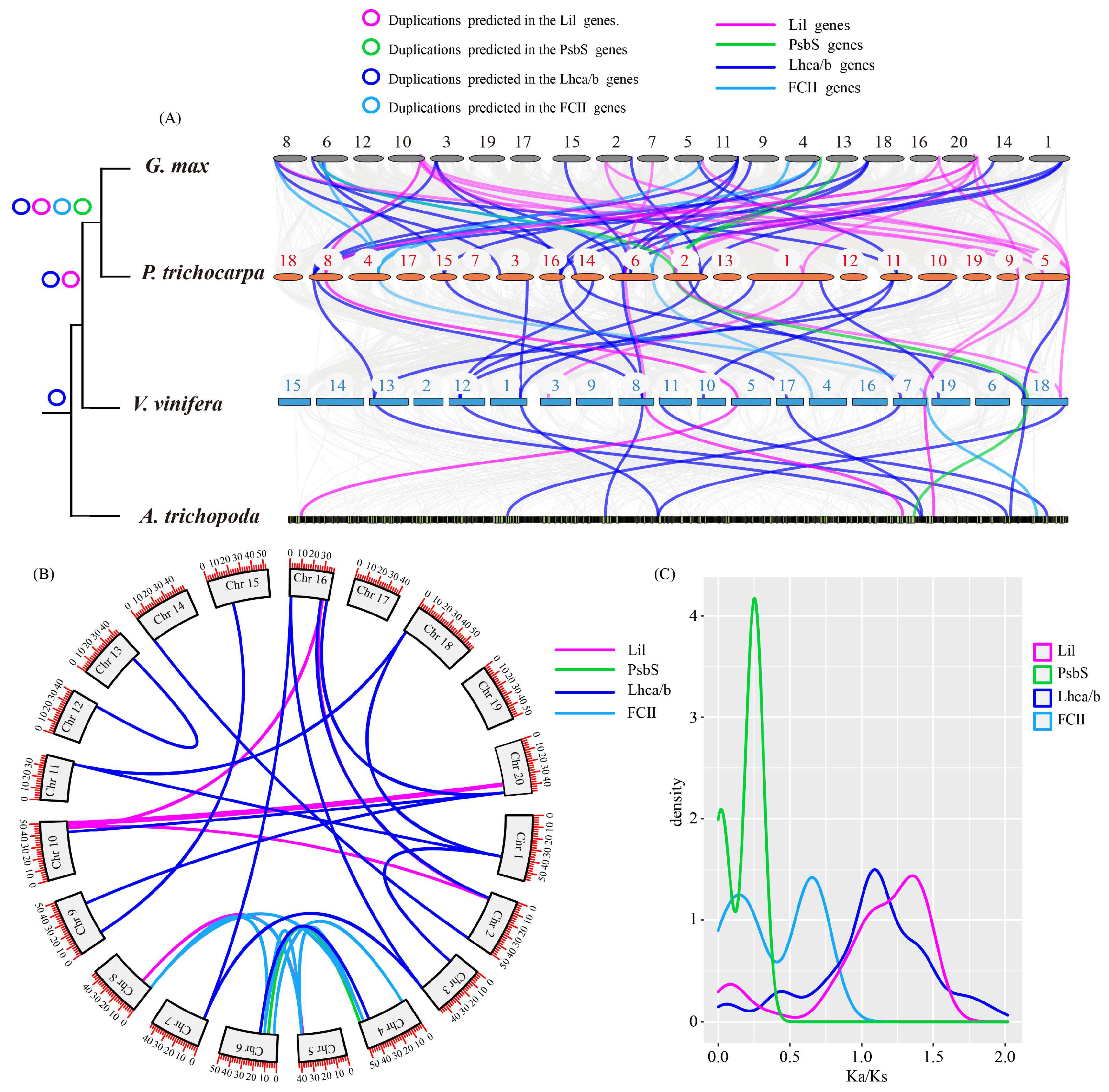 Ijms 24 00488 g008 Ijms 24 00488 g008