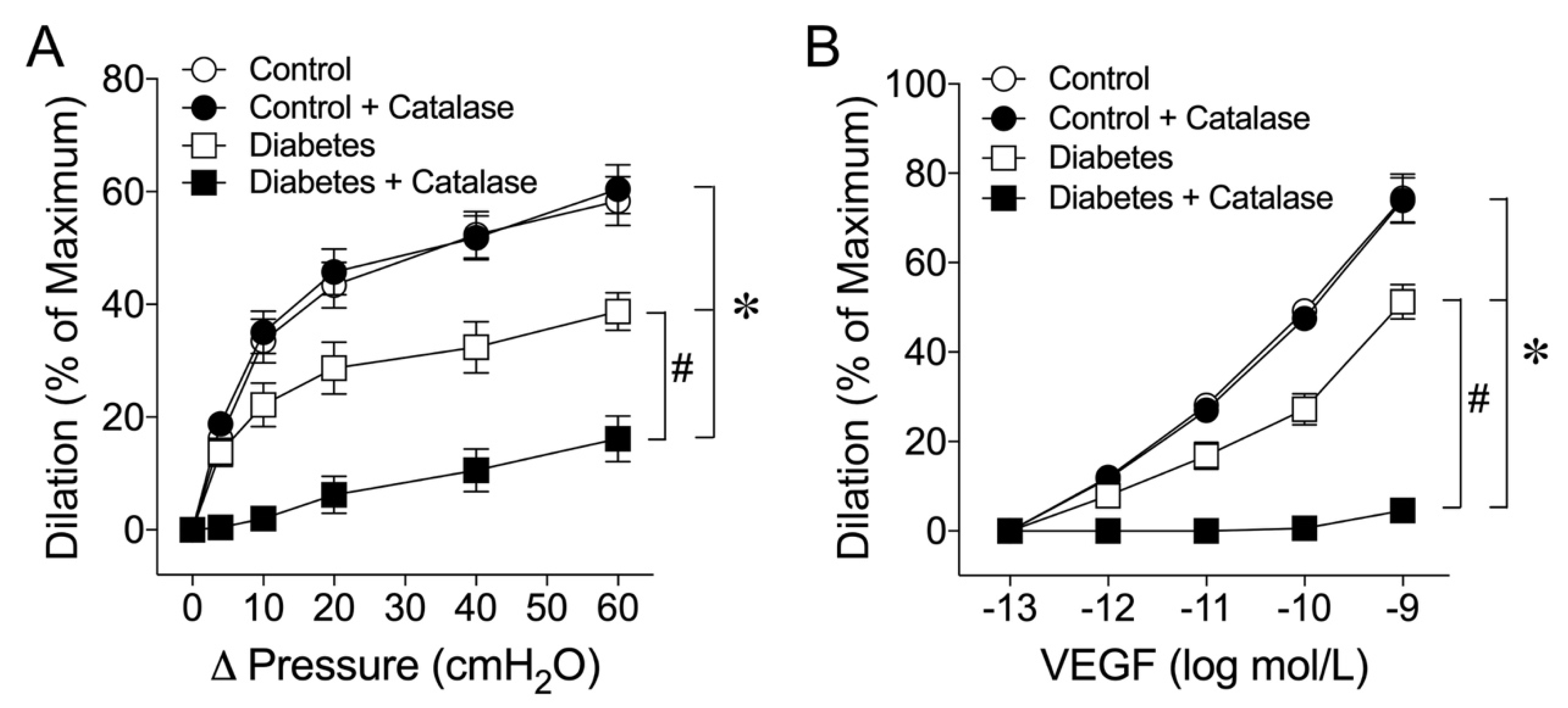 Ijms 24 00489 g002 Ijms 24 00489 g002